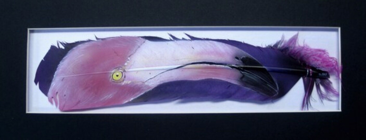 Flamingo Eye – Russ Abbott – Original Hand Painted Feather