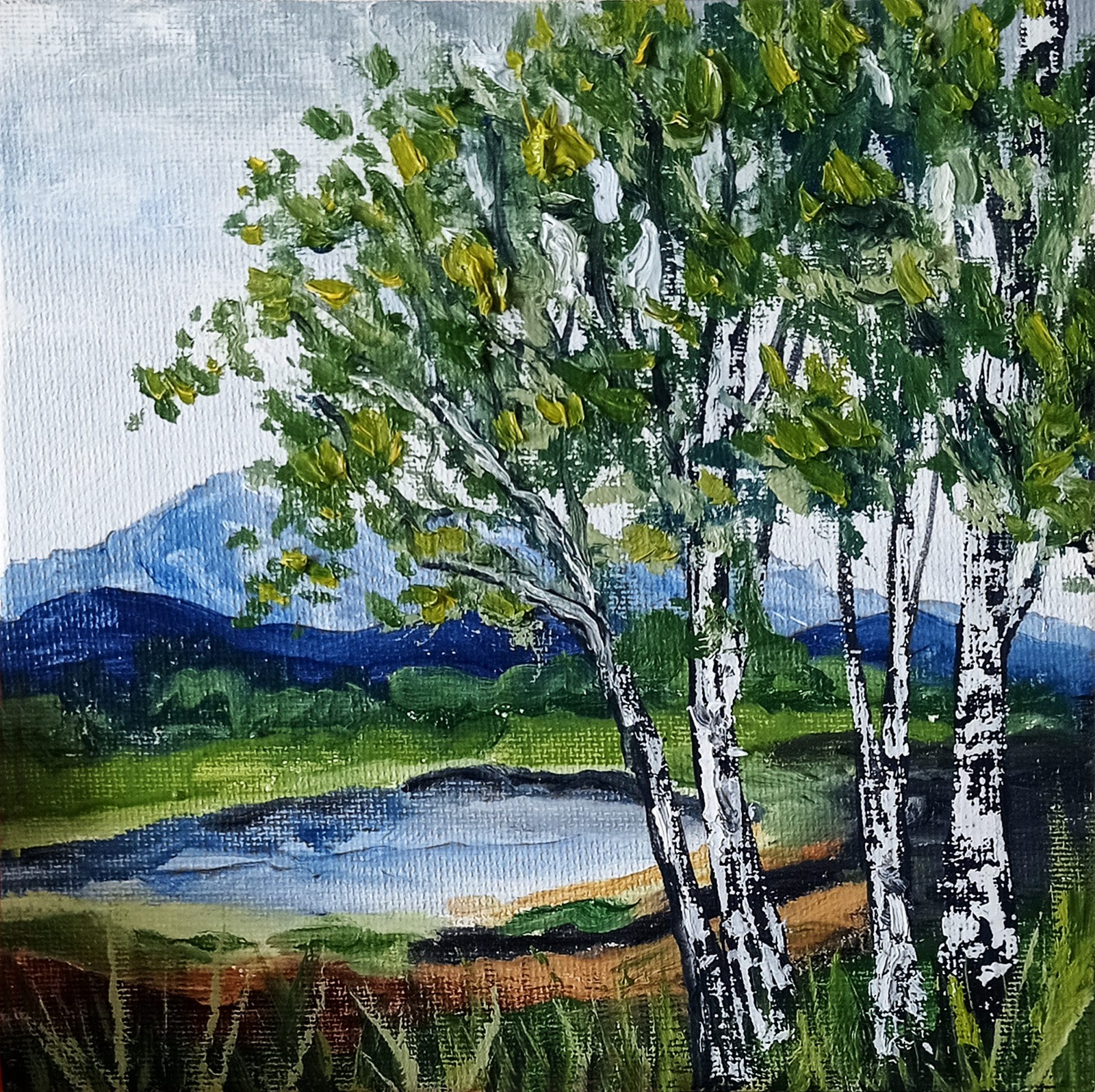 Birch Trees Oil Painting Miniature on Canvas Board 6×6” Lake Landscape Art
