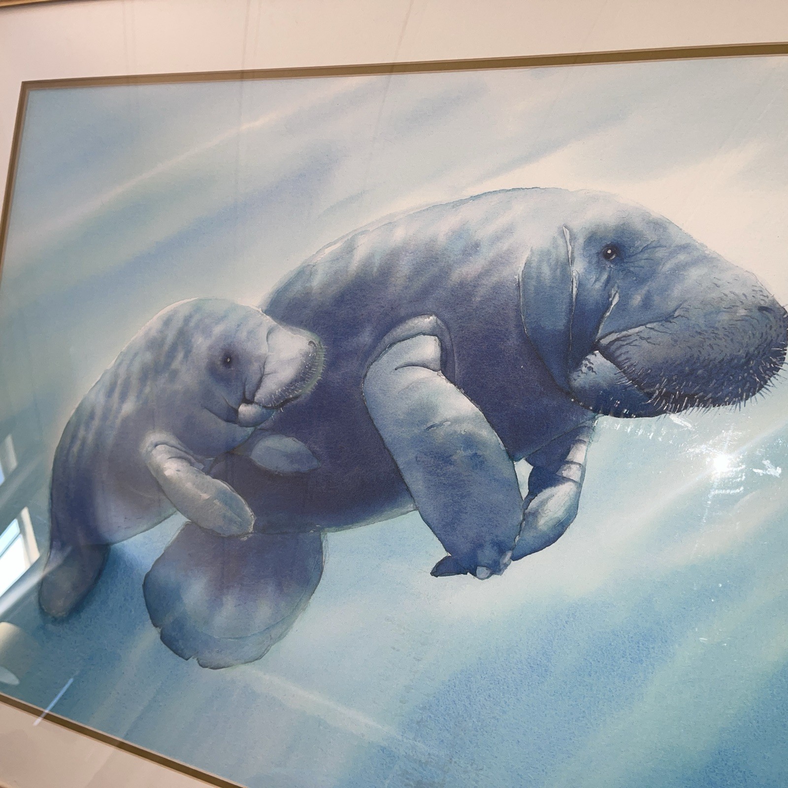Richard E Williams Signed Lithograph Manatee Calf Frame Art Print Ltd Ed 188/395