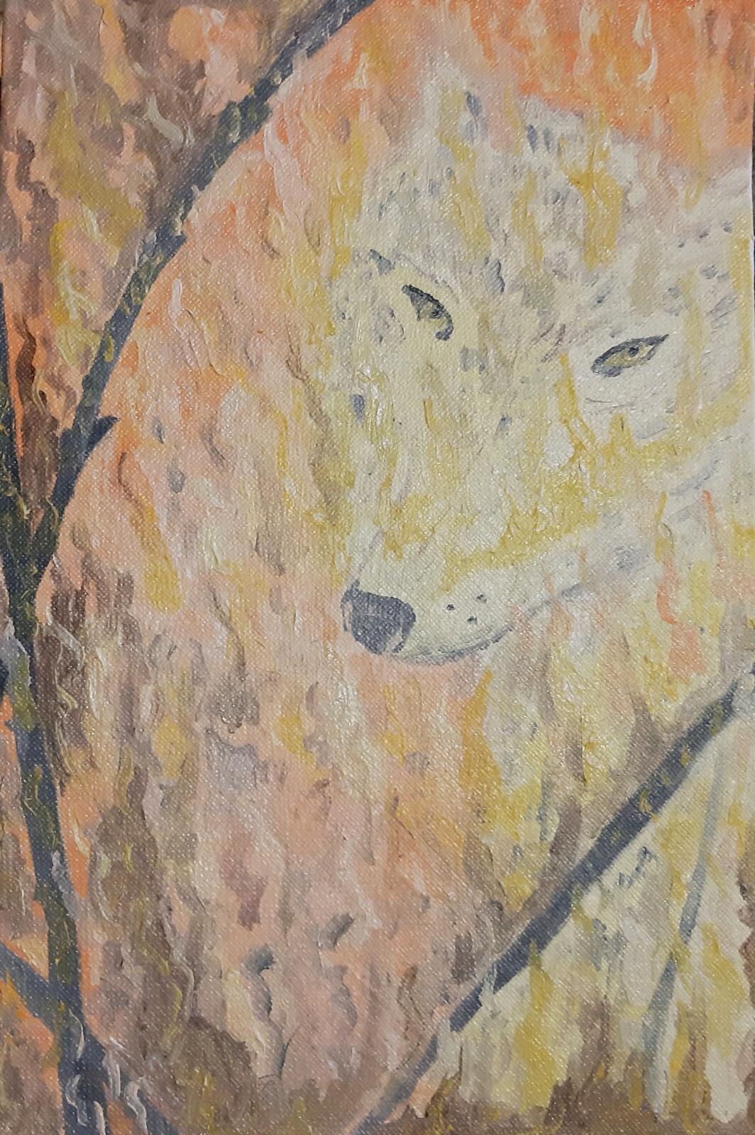 Forest fire (social issue)
