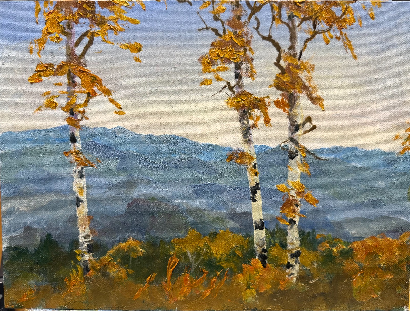 Rolling Mountains and Birches Collector Oil Painting Landscape
