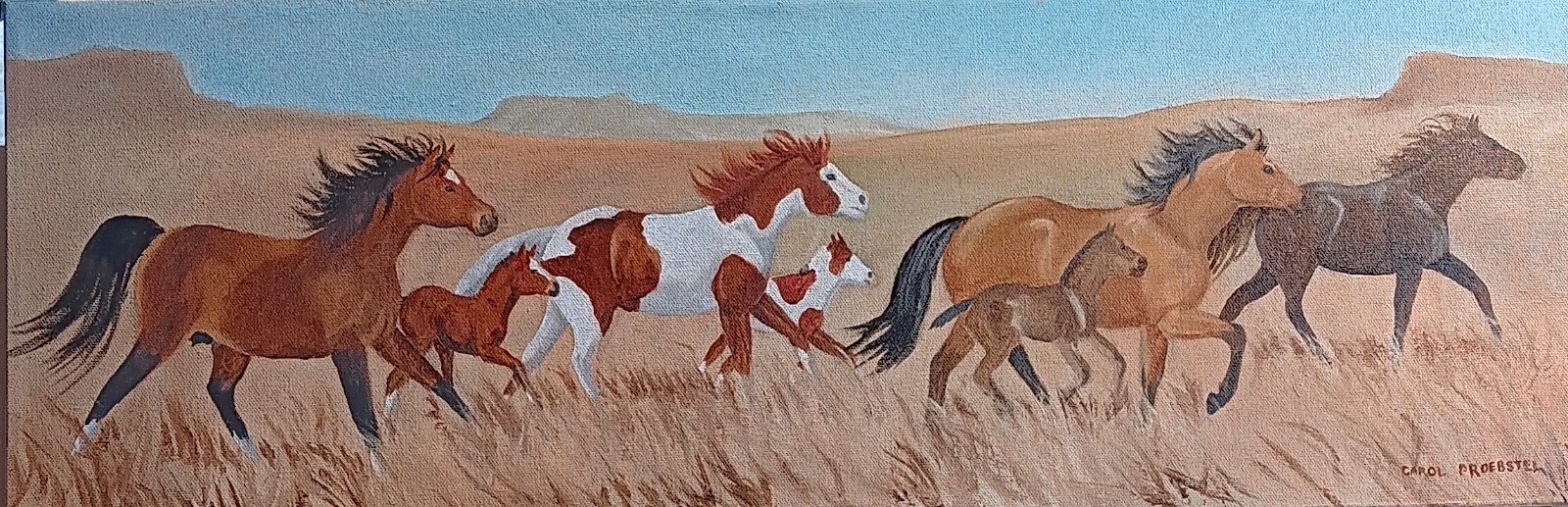 Original oil painting western mustangs horses mares foals colts Carol Proebstel