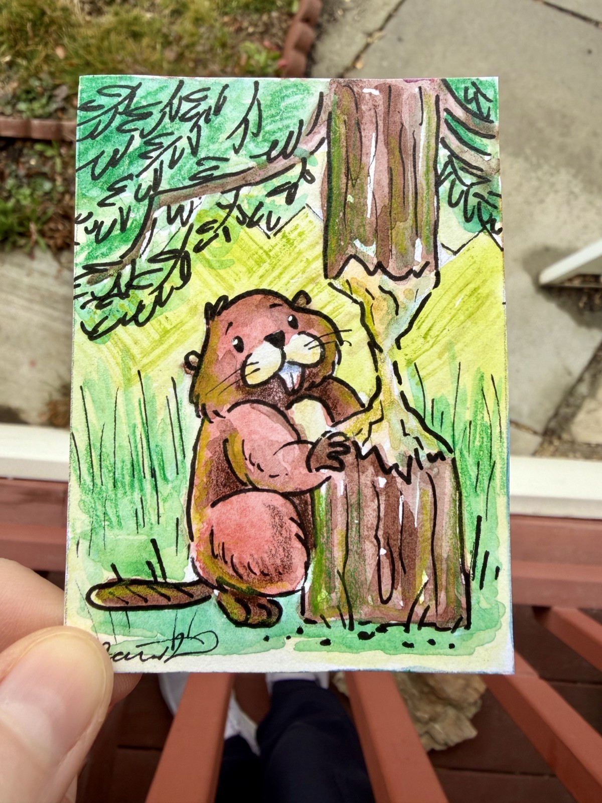 Original ACEO Beaver Chomp by Alannah Dyer- Watercolor Painting Mini Art 2.5×3.5