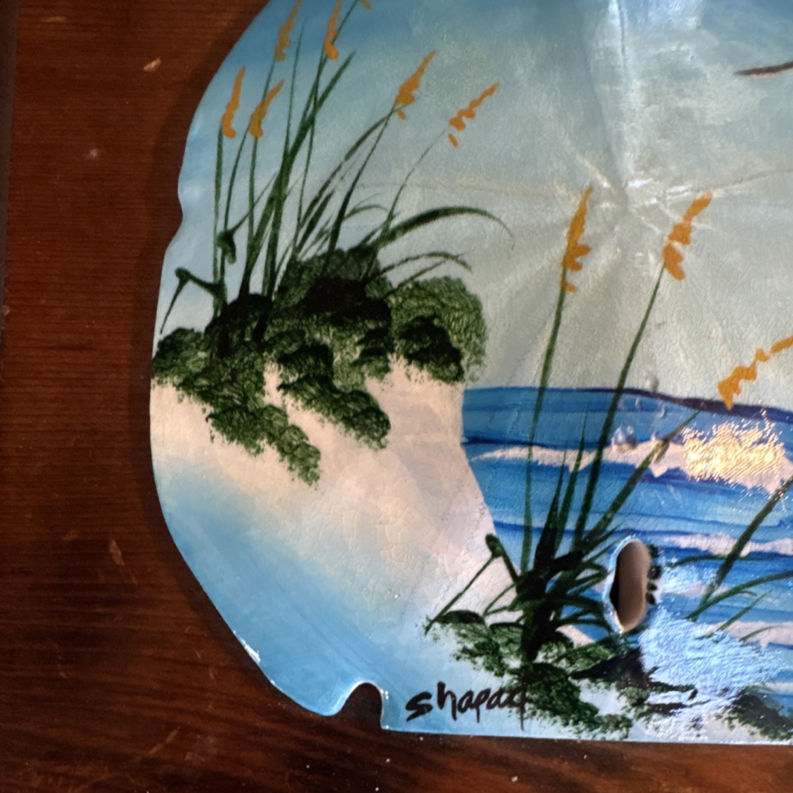 Hand Painted Sand Dollar Shell Beach Scene Signed Shapac Wood Plaque