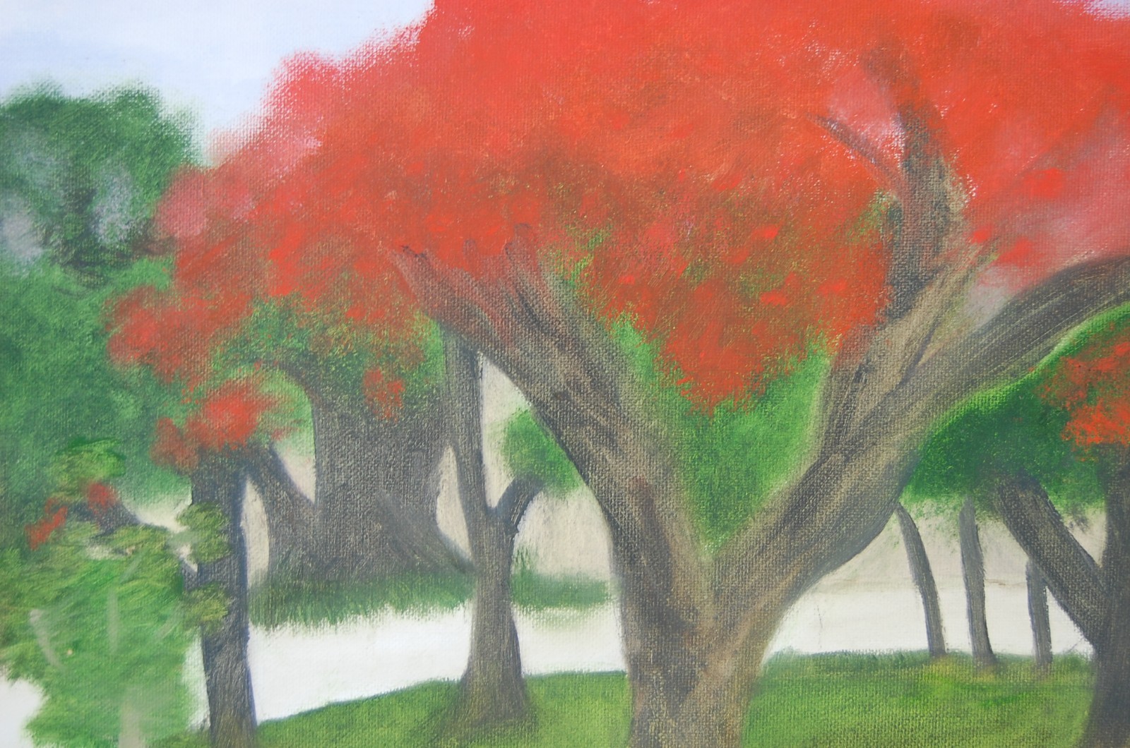 Vtg 80’s Framed Original Oil «Framboyan (Royal Poinciana) Tree Landscape» 20X16