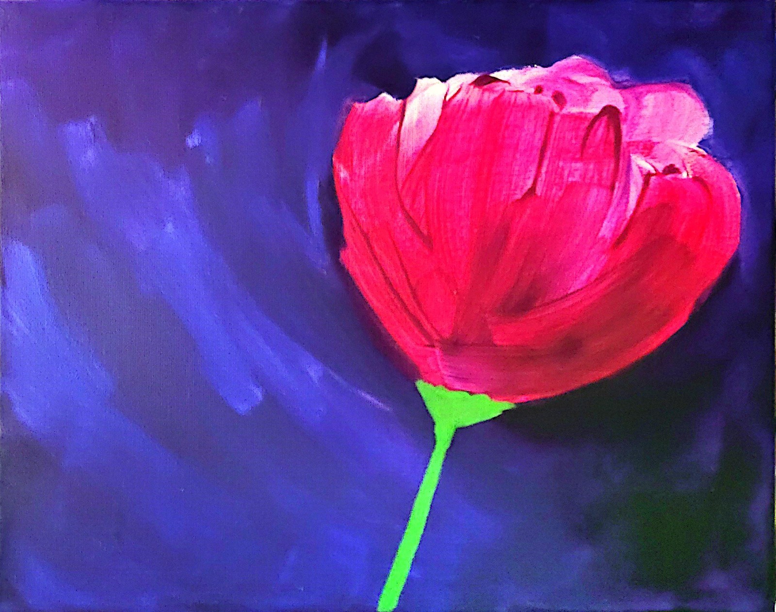 Red Tulip At Dusk Colorful Modern Art Acrylic Painting Canvas.