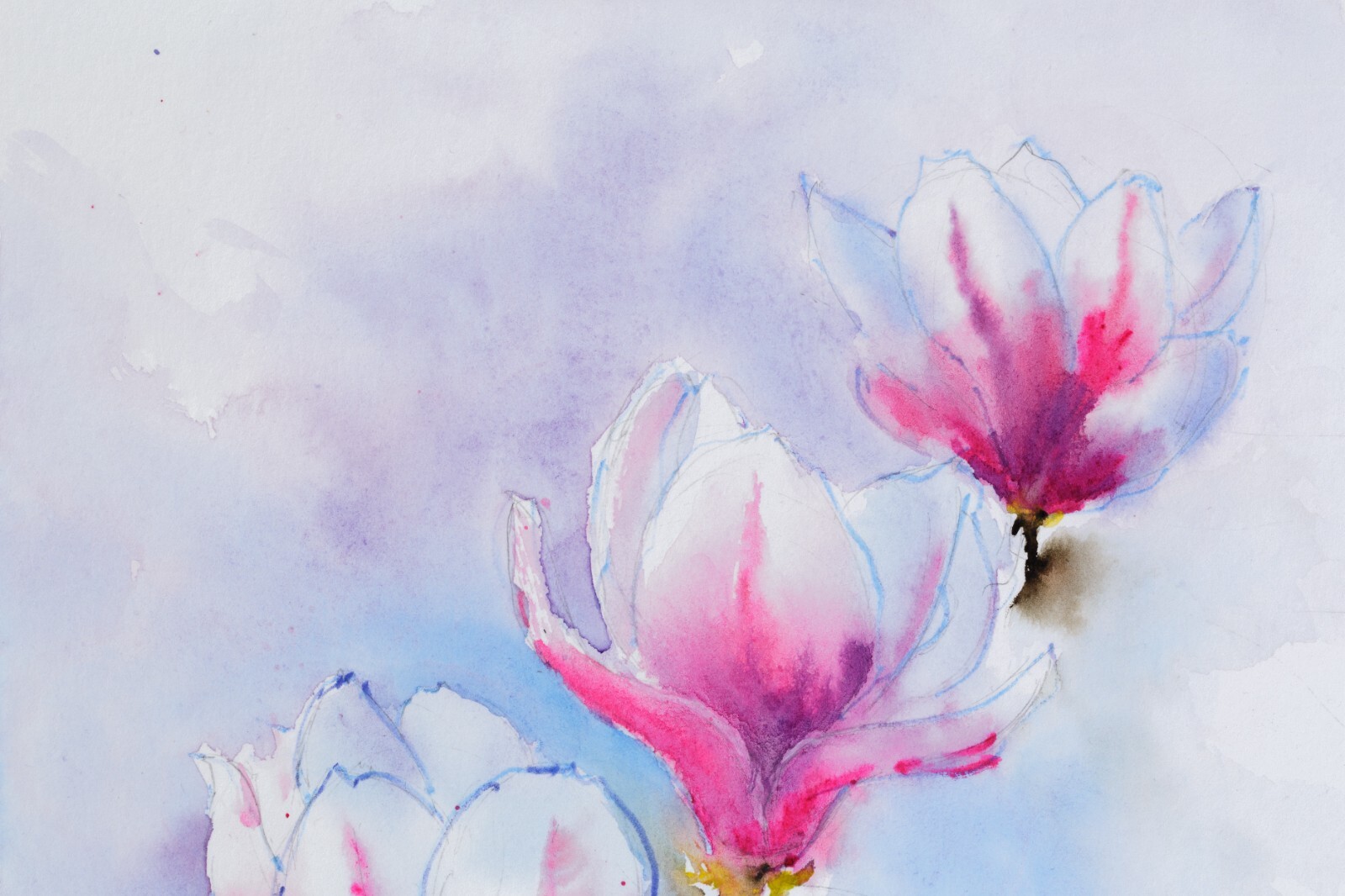 Magnolia Painting Pink Flower Original Watercolor Japanese Painting Sakura Wall