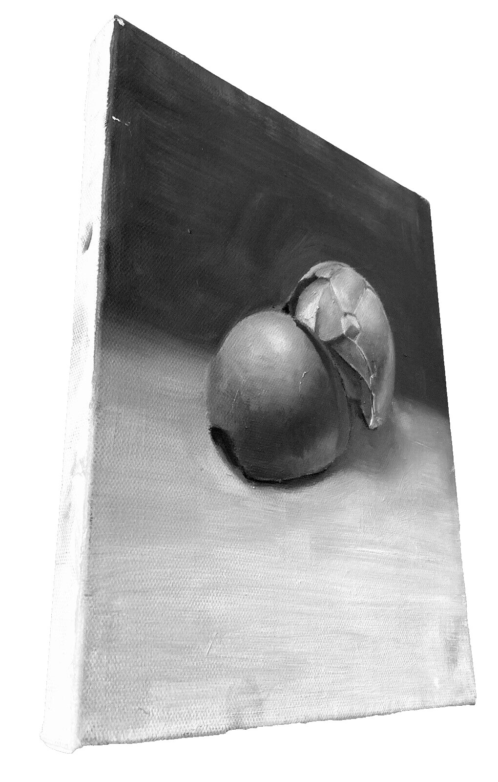 Cracked Egg Shell 10×8″ Grayscale Art Still Life Farm Kitchen Switzerland Foods