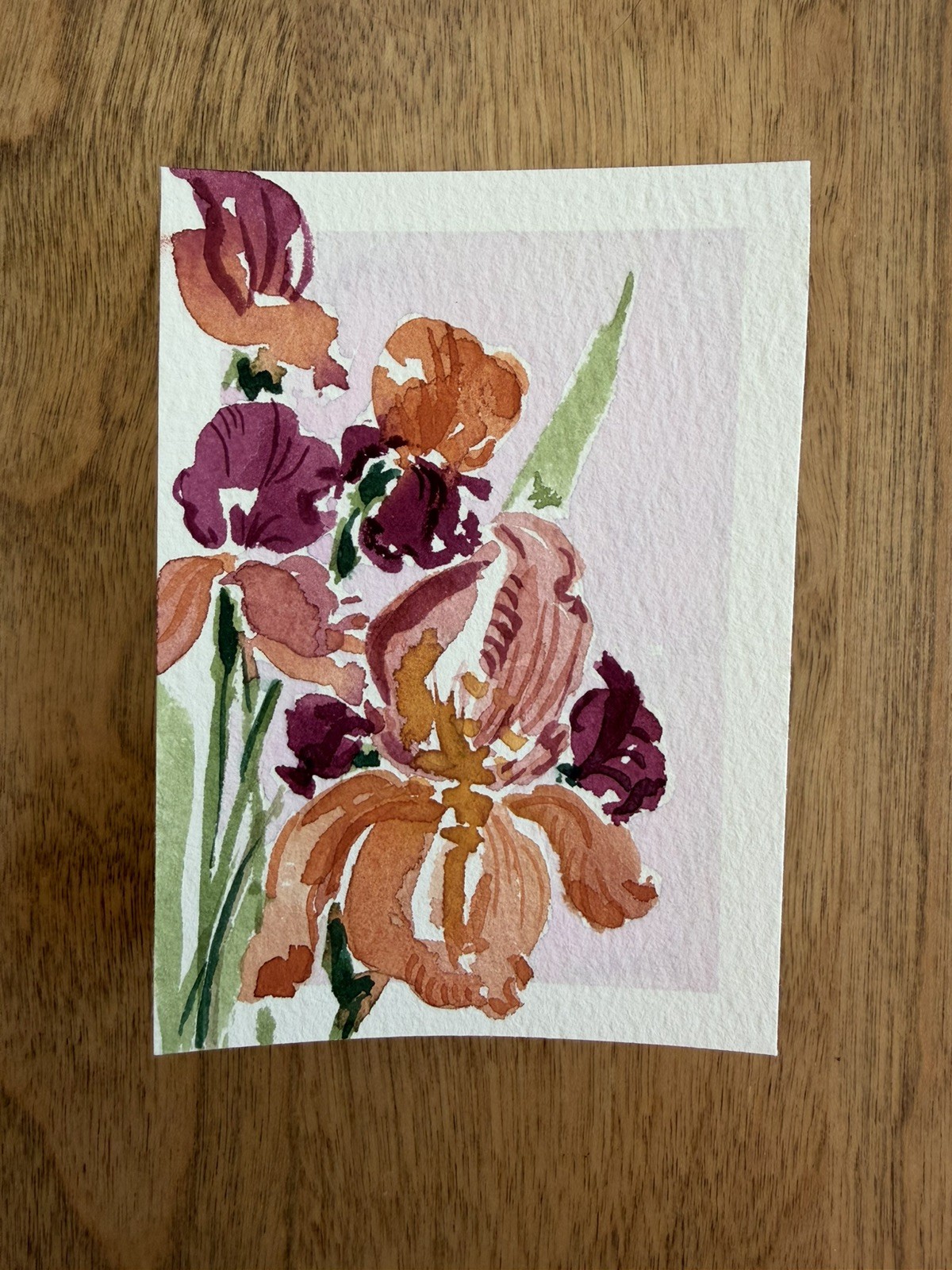 ACEO Original iris flower, abstract botanical illustration floral 2.5×3.5in