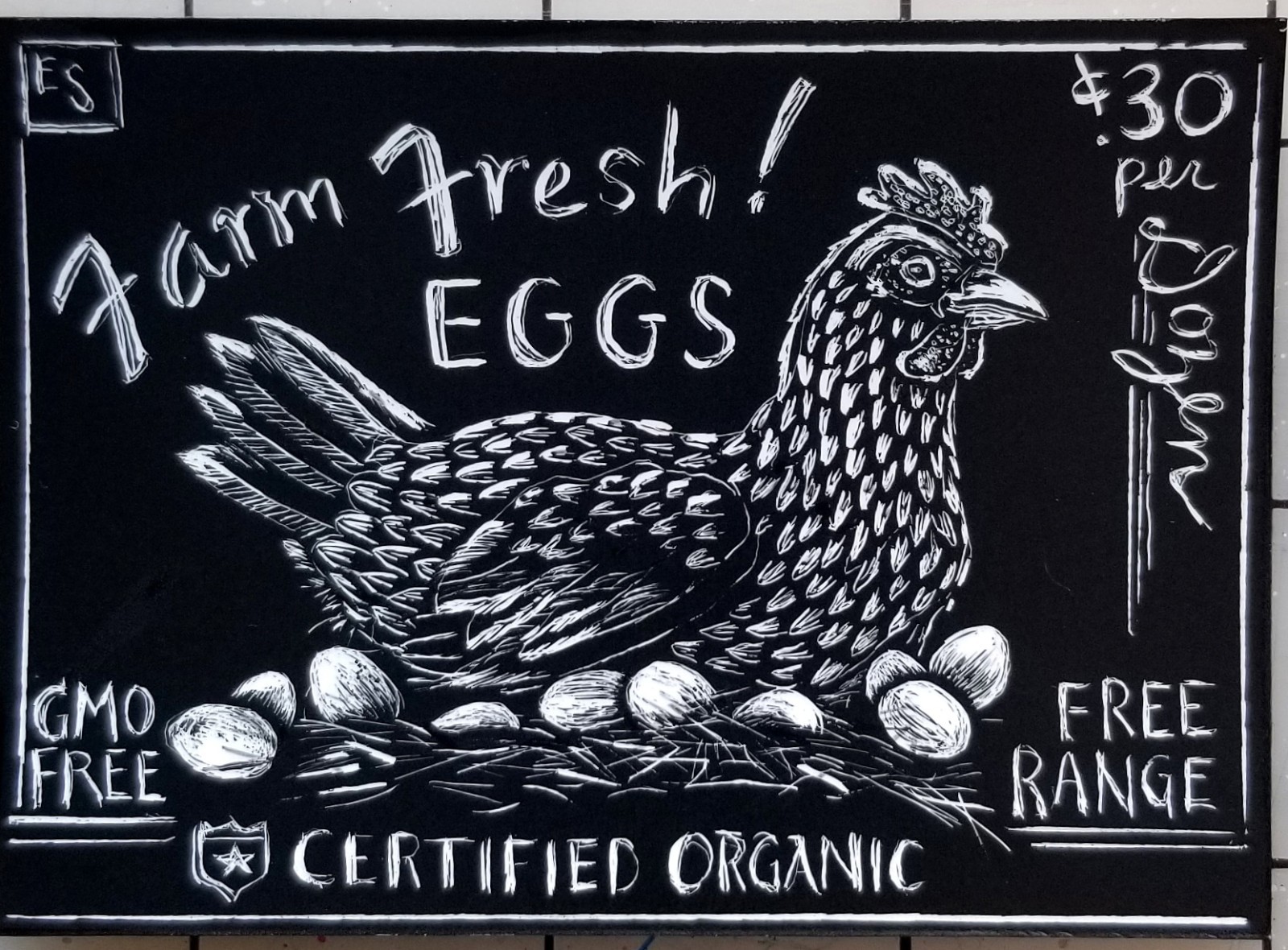 Vintage Ad Chicken Eggs Original ACEO Scratchboard Art Card ATC aznative68