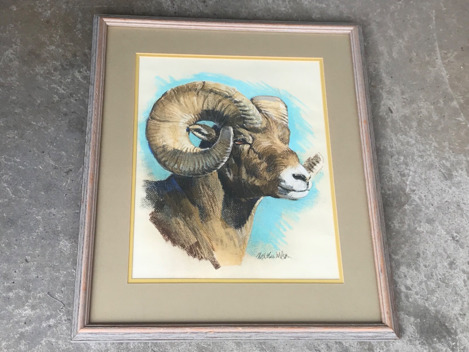 #150 Vegas Local Pickup Wildlife Gouache Painting Nicholas Wilson Bighorn Sheep
