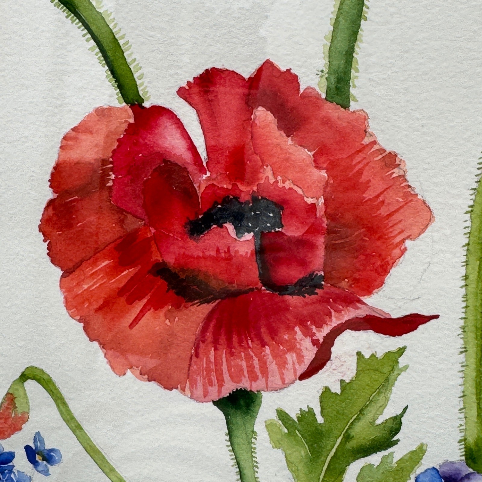 Large Original Poppy Floral Watercolor Painting 23×26