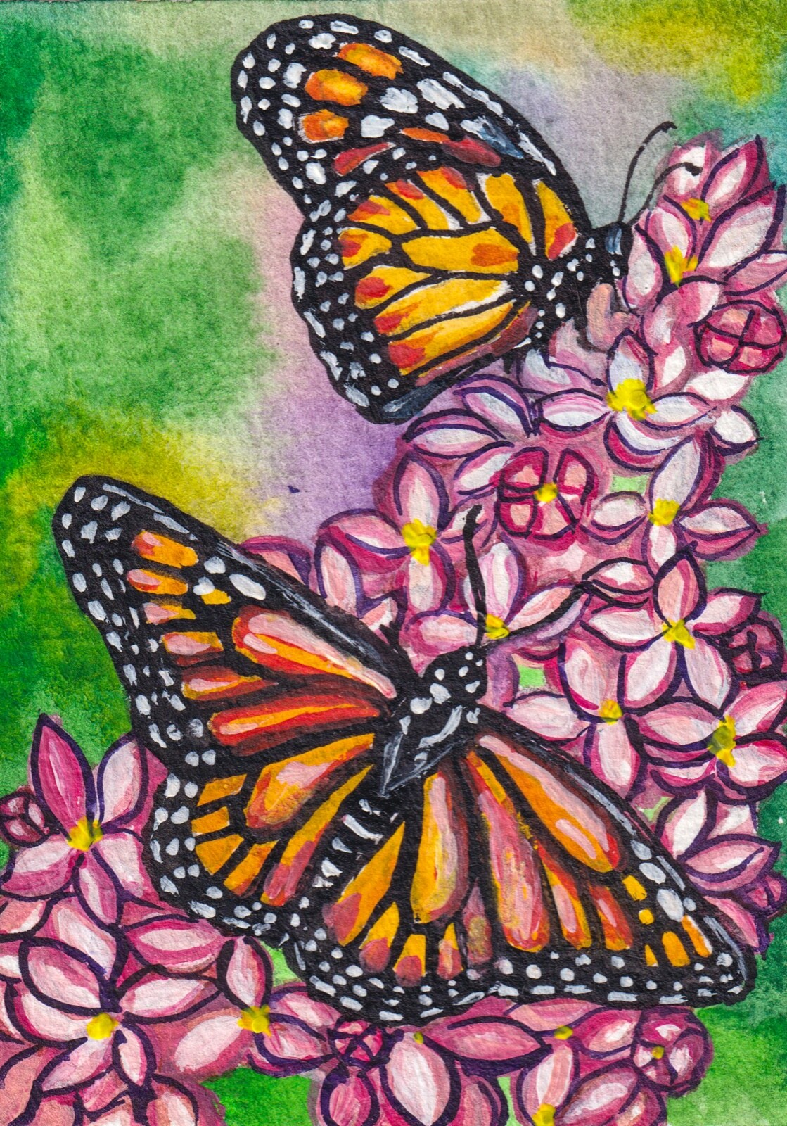 Watercolor Painting Butterfly Insect Flower Nature ACEO Art [