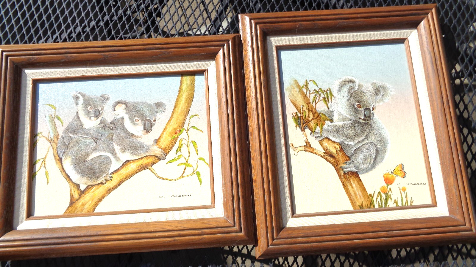 2 Koala Bear Paintings Oil On Canvas Signed C. Carson Framed Vintage Australia