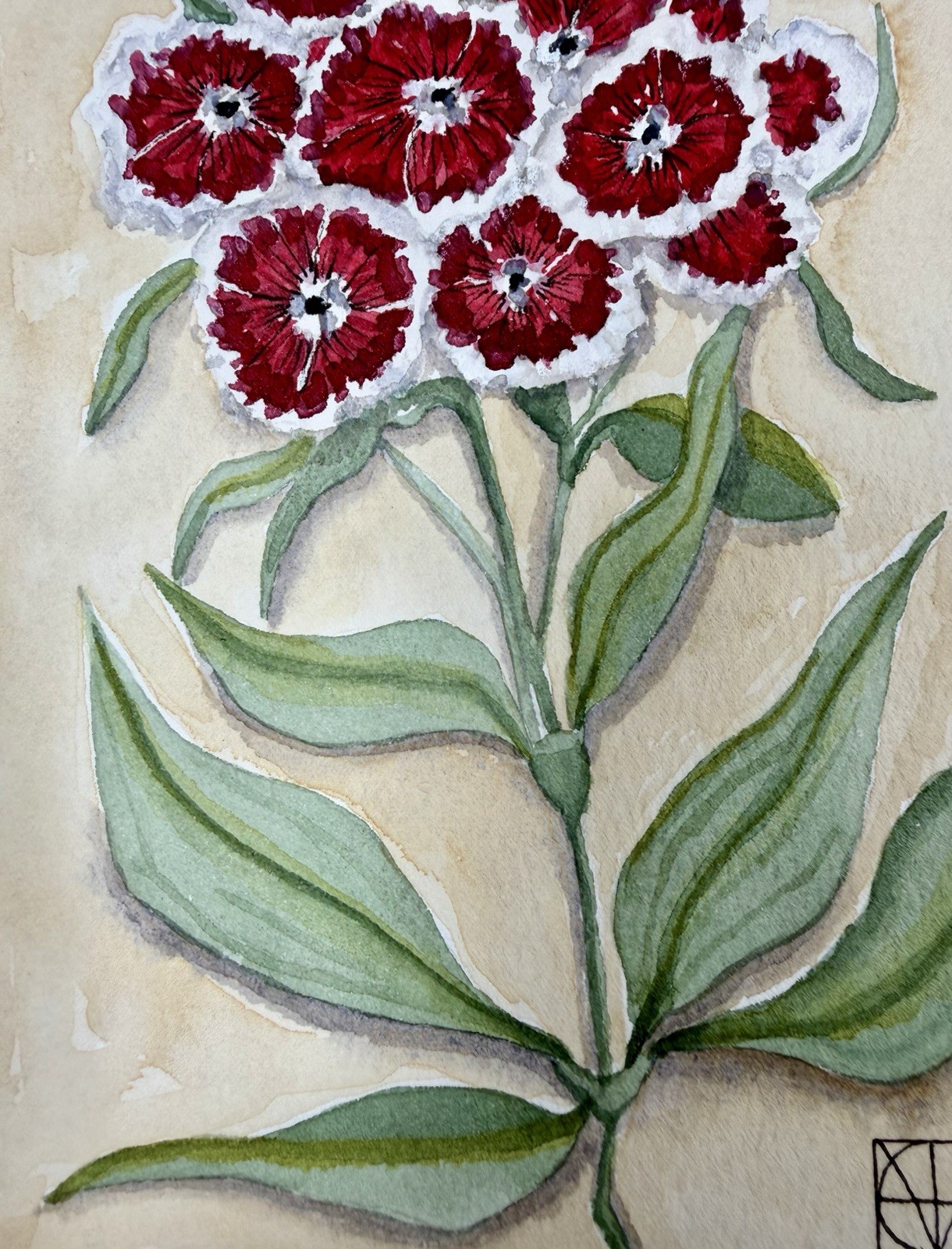 Painting by M. Hackney Sweet William Floral Watercolor & Ink, Signed, 5×7 COA