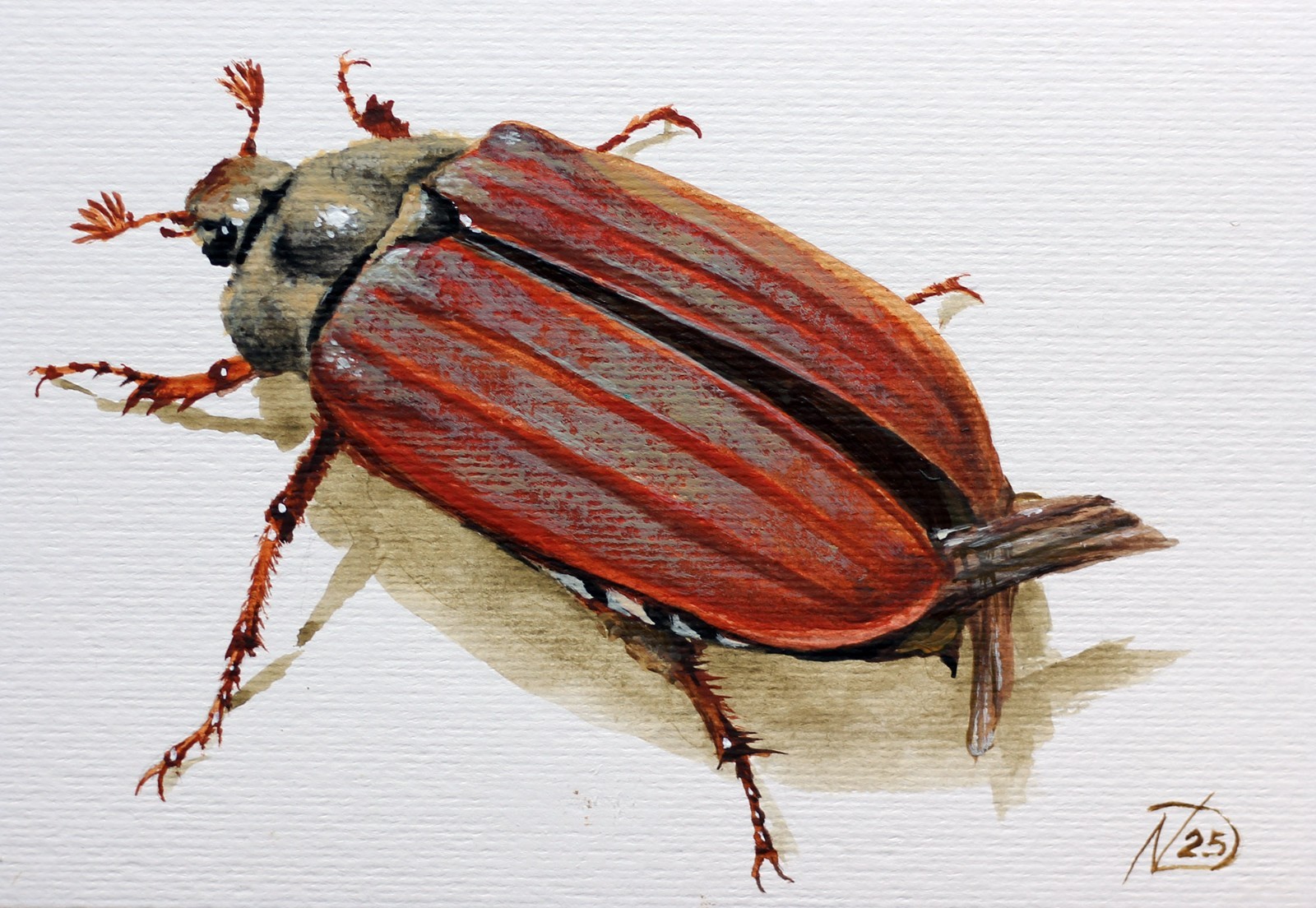 Maybug Beetle Painting Spring Insect Art Original Acrylic Nature Garden Decor