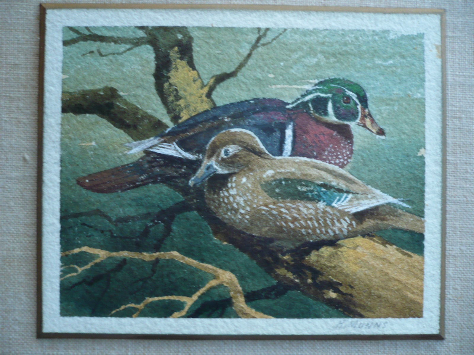 DUCK DUCKS IN A POND WILDERNESS REALISM, VINTAGE ARTWORK WATERCOLOR COLORFUL WC