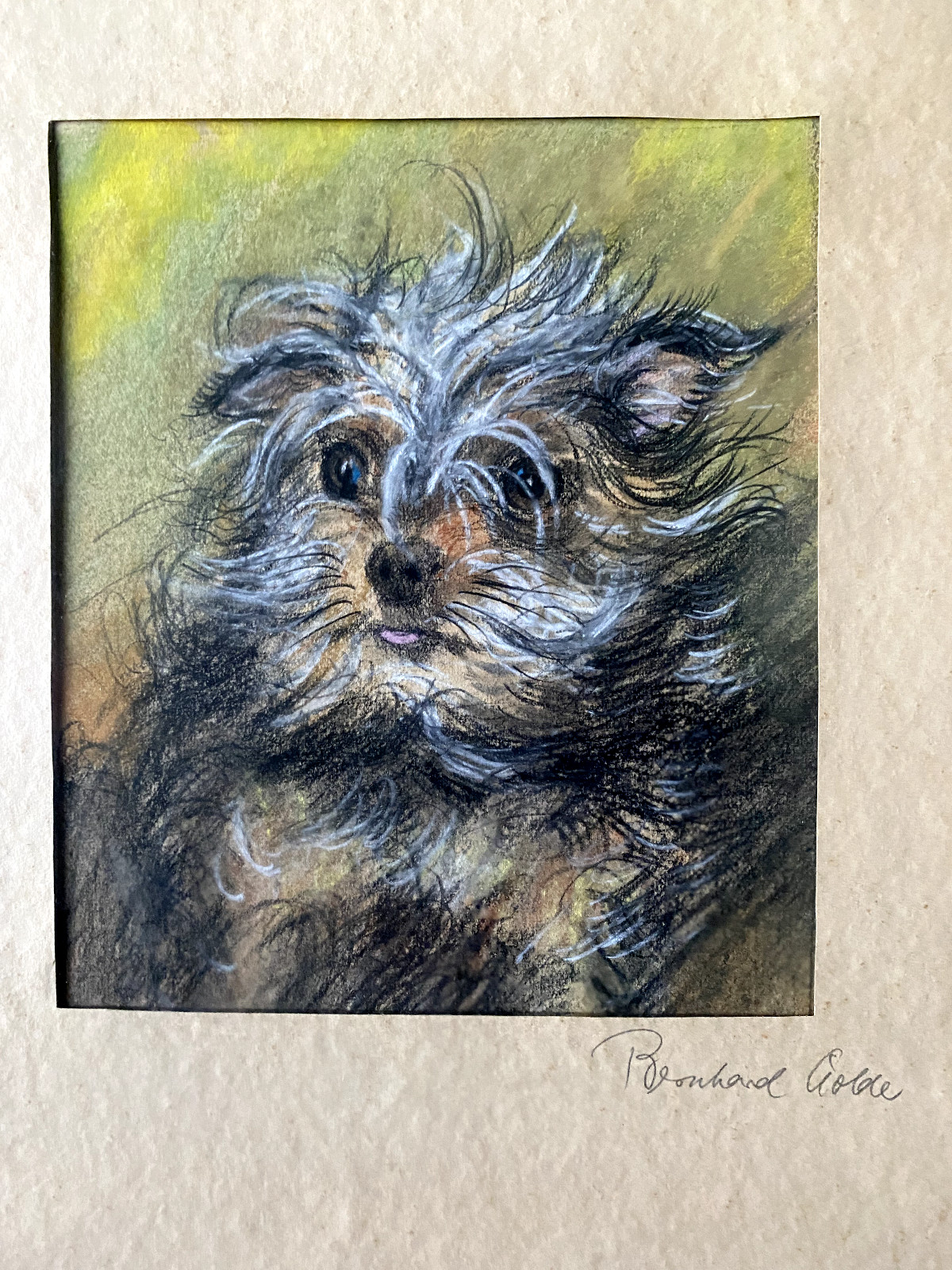 Dog Berherd Wolde Terrier Drawing Antique Animals Frame ° Interesting Made