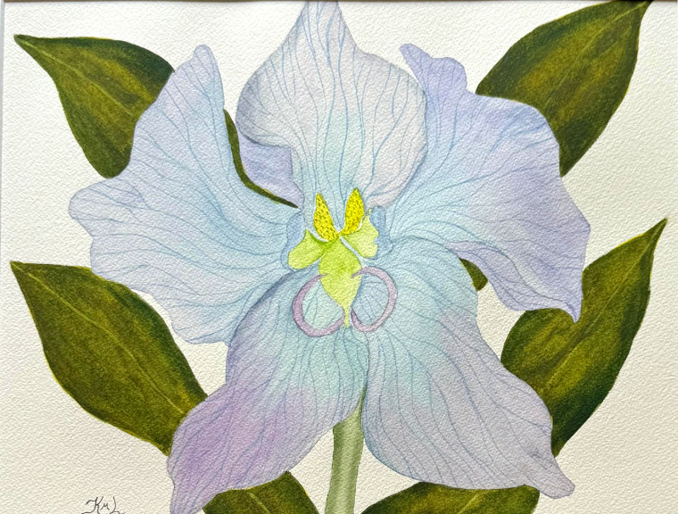 PAINTING WATERCOLOR 11X14 AND MAT 16X20 FLOWER ORCHID BLUE PURPLE LAVENDER GREEN