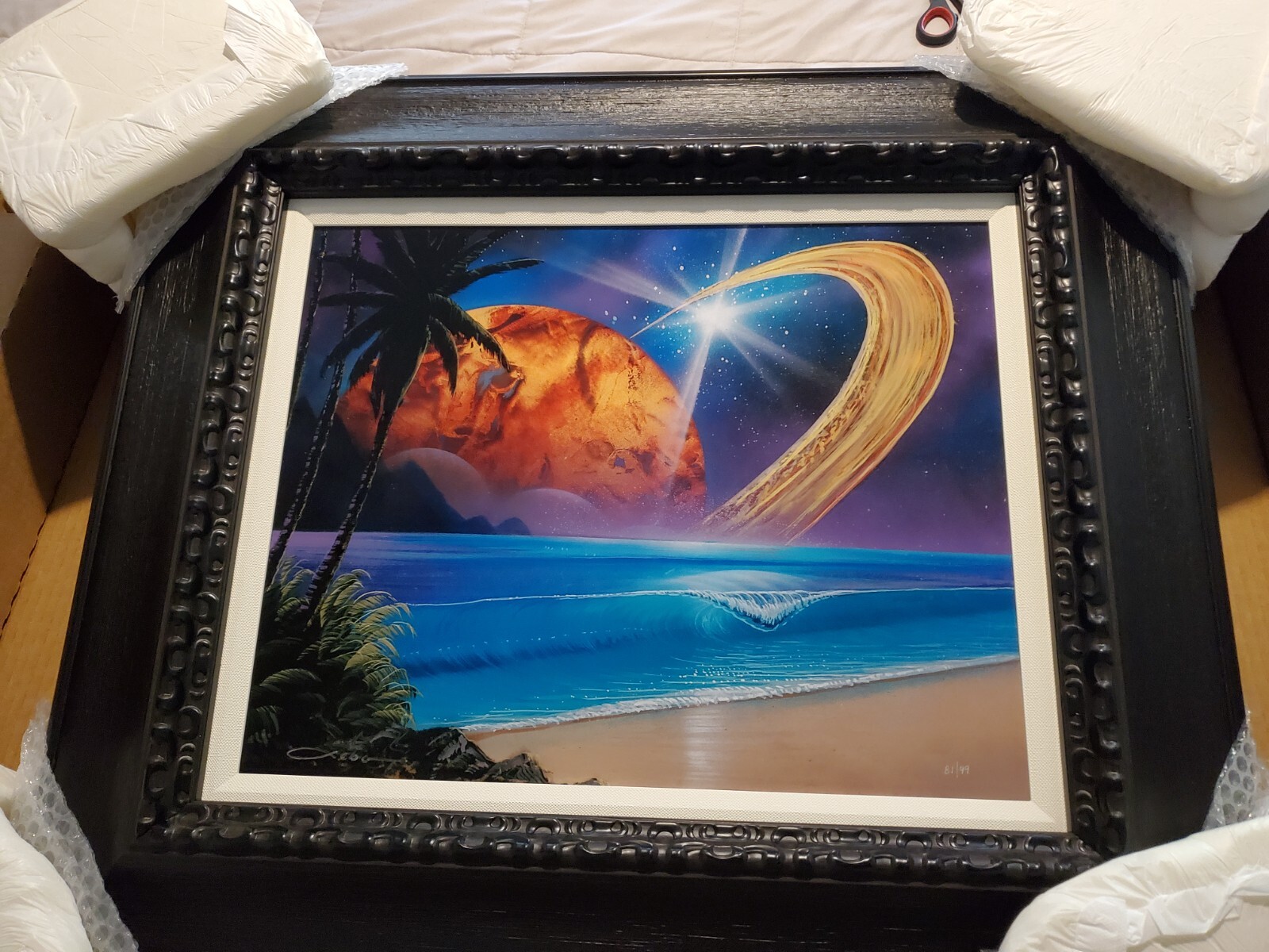 Chris Sebo Dye Sublimation on Aluminum (Dance of the Spheres) #81/99 Stunning!!