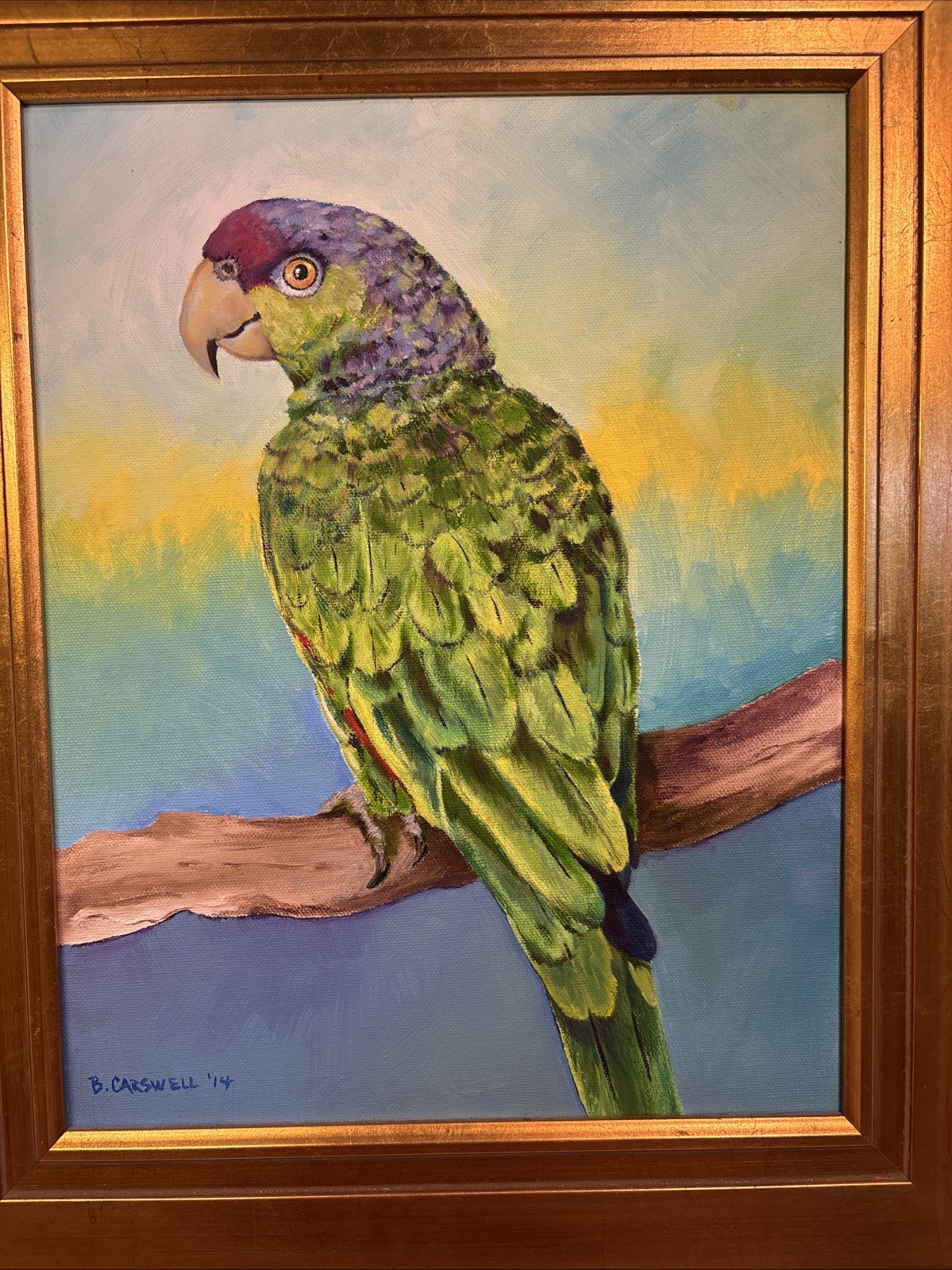 Framed Paint On Canvas Art Of A Parrot Signed By Artist. B. Carswell 16”-19”