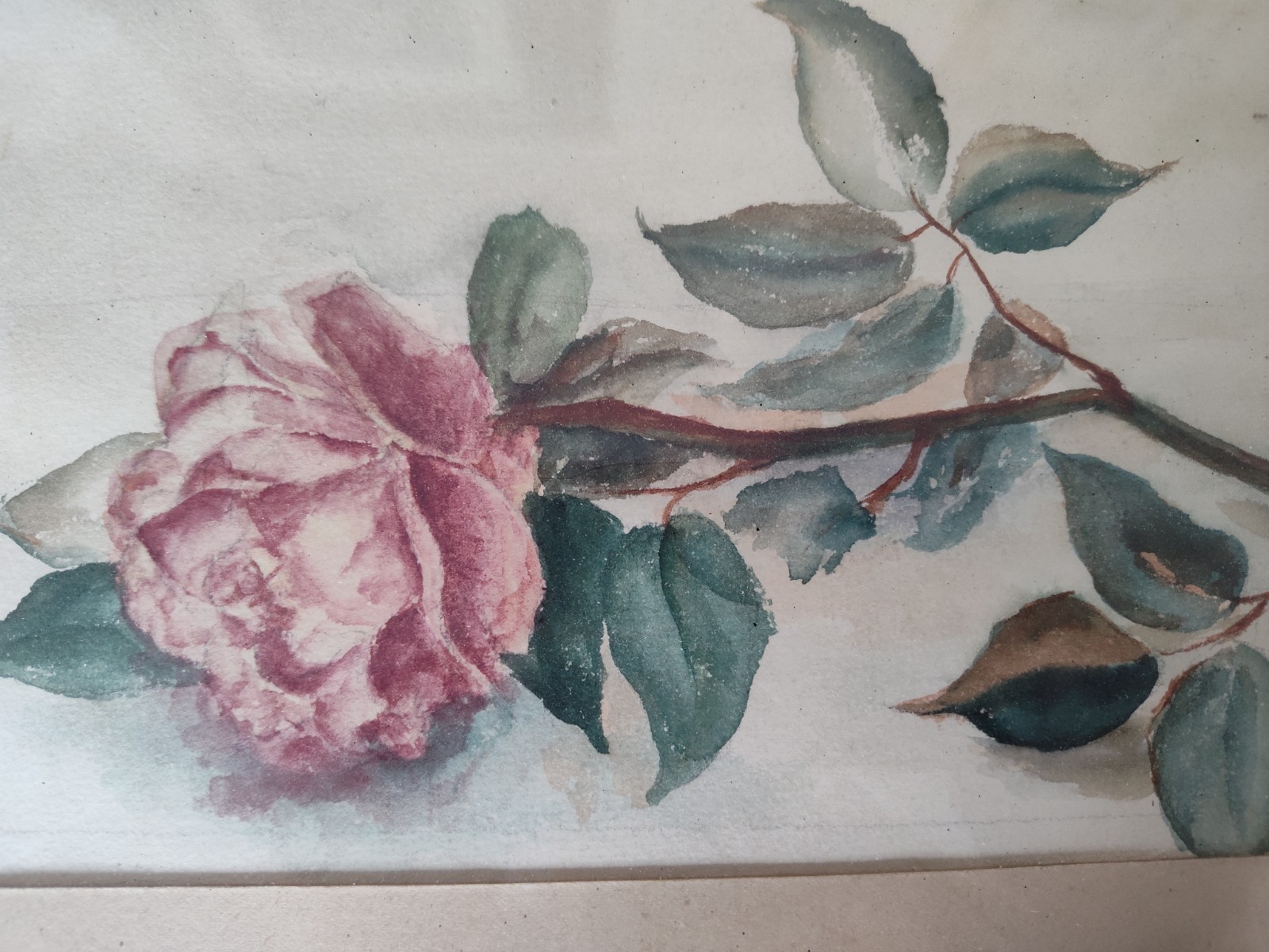 Shabby Chic Vintage Pink Rose Floral Still Life Watercolor Painting Signed