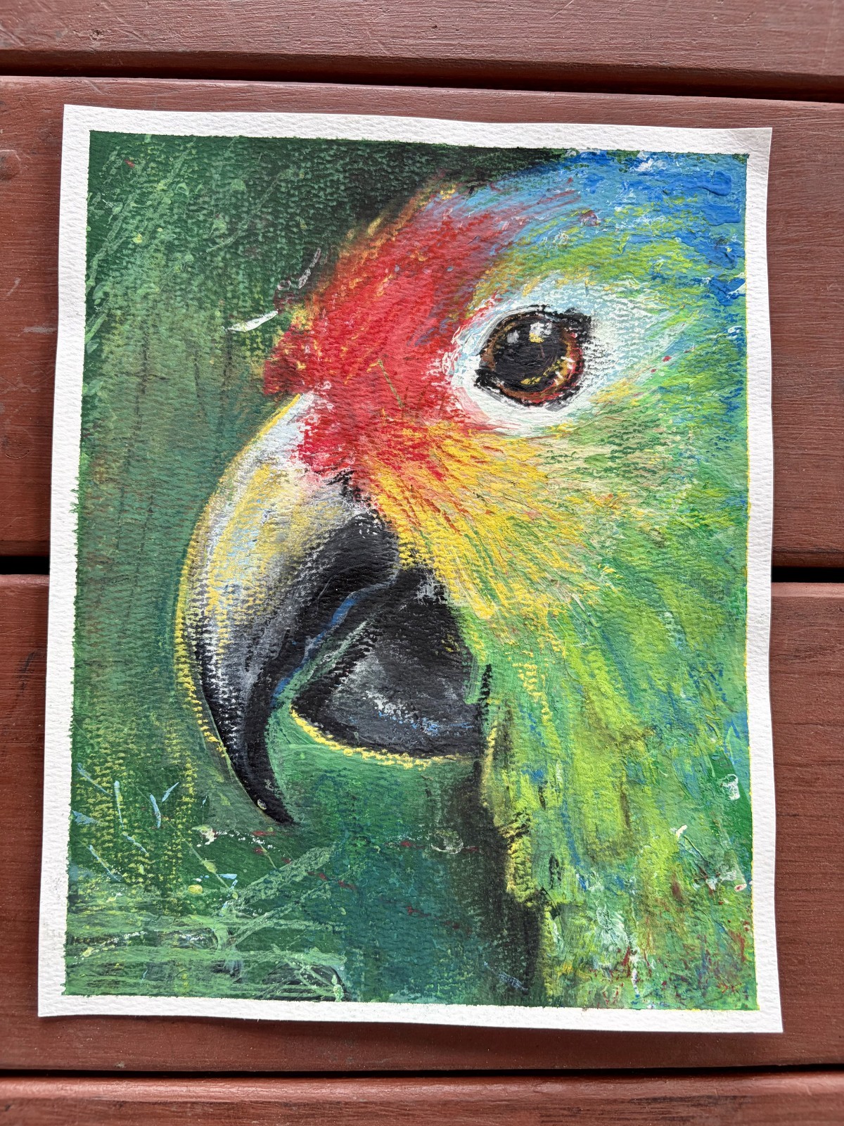 Colorful Macaw Painting By Alannah Dyer- Mixed Media 8×10 in Beautiful Bird Pet