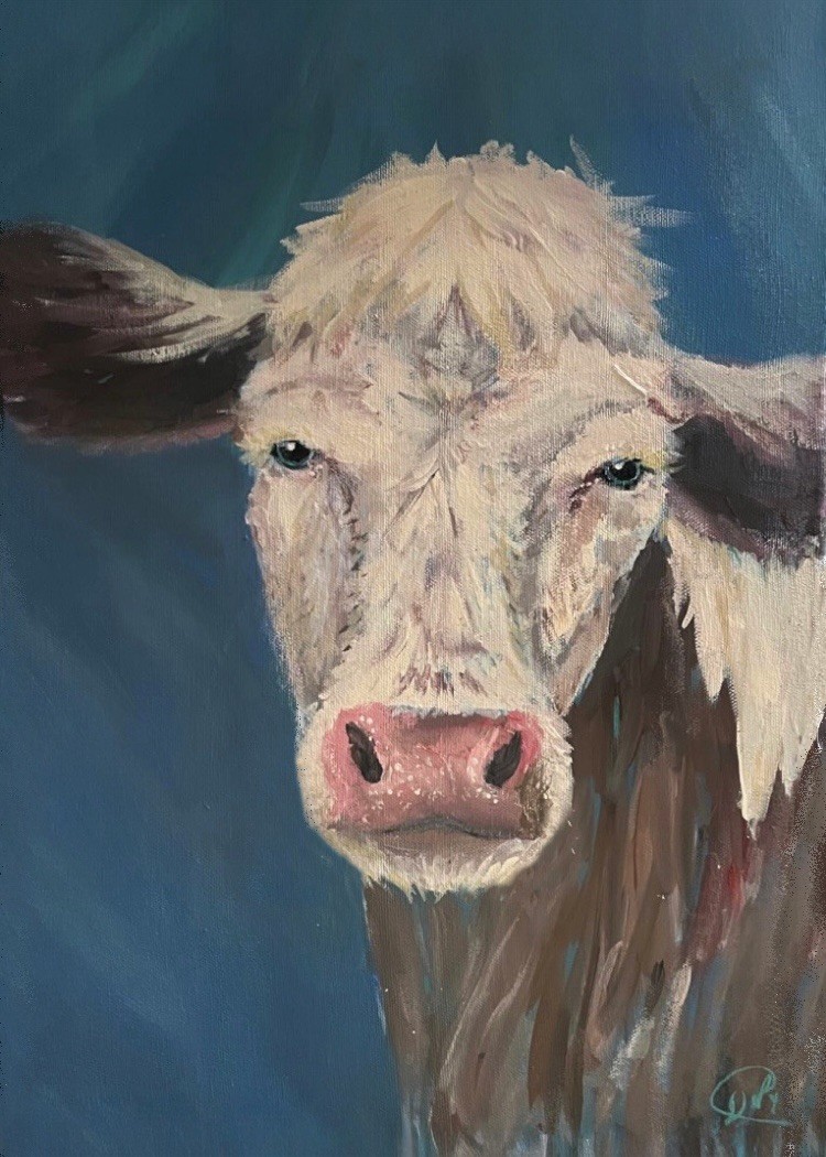 ACEO PRINT farm friend “Daisy” fuzzy cow portrait Mixedmedia Painting 3.5×2.5