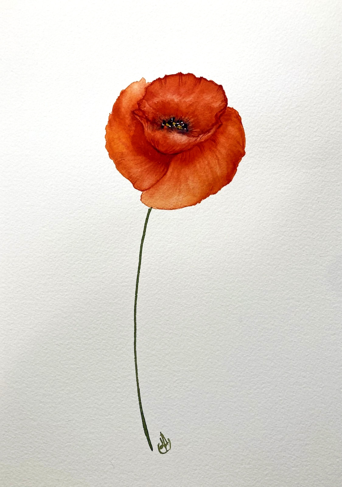 Red Poppy Flower Original Watercolor Painting Floral Art