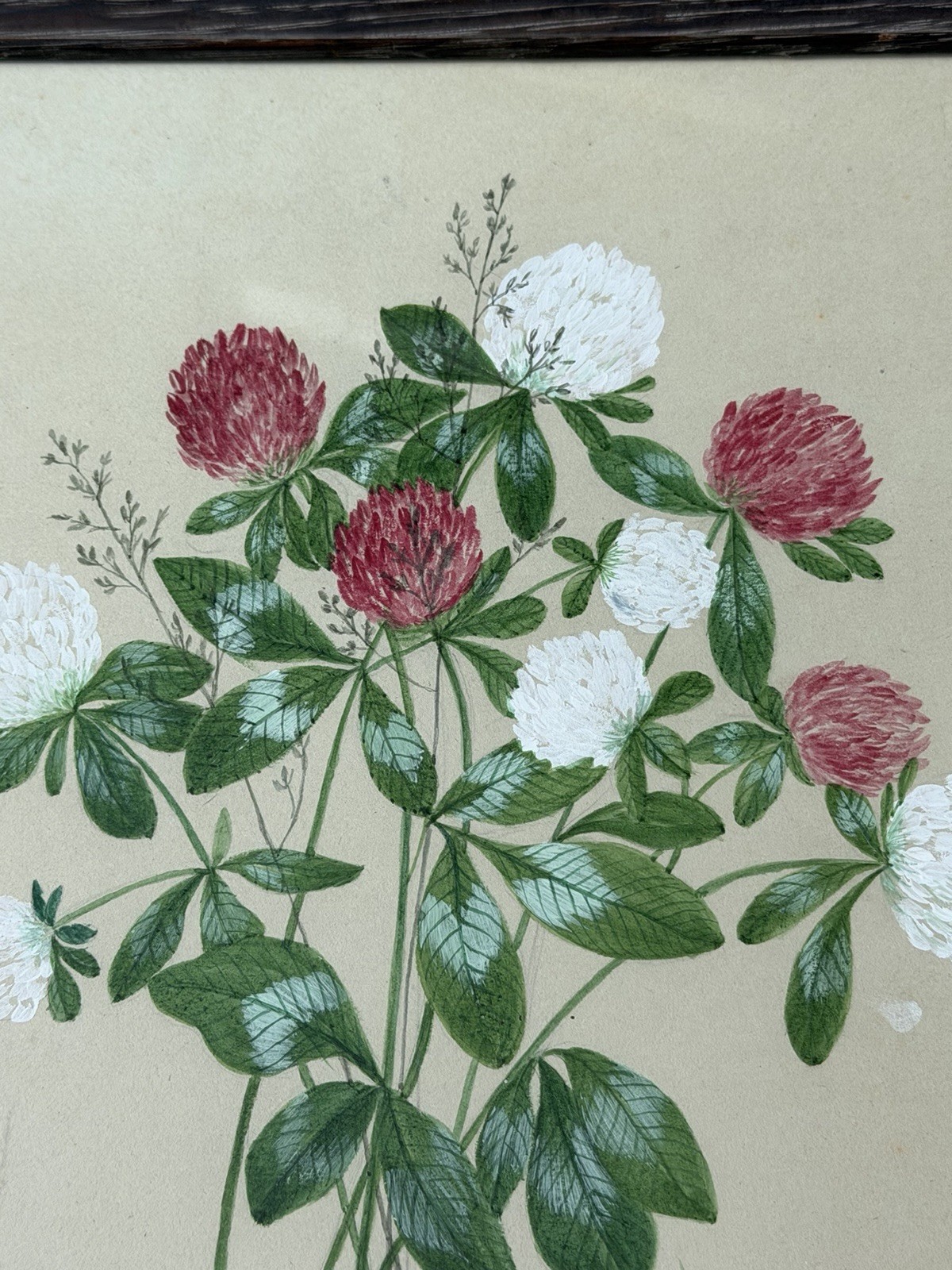 Antique Original Artwork Framed Watercolor Gauche Red & White Clover Bunch