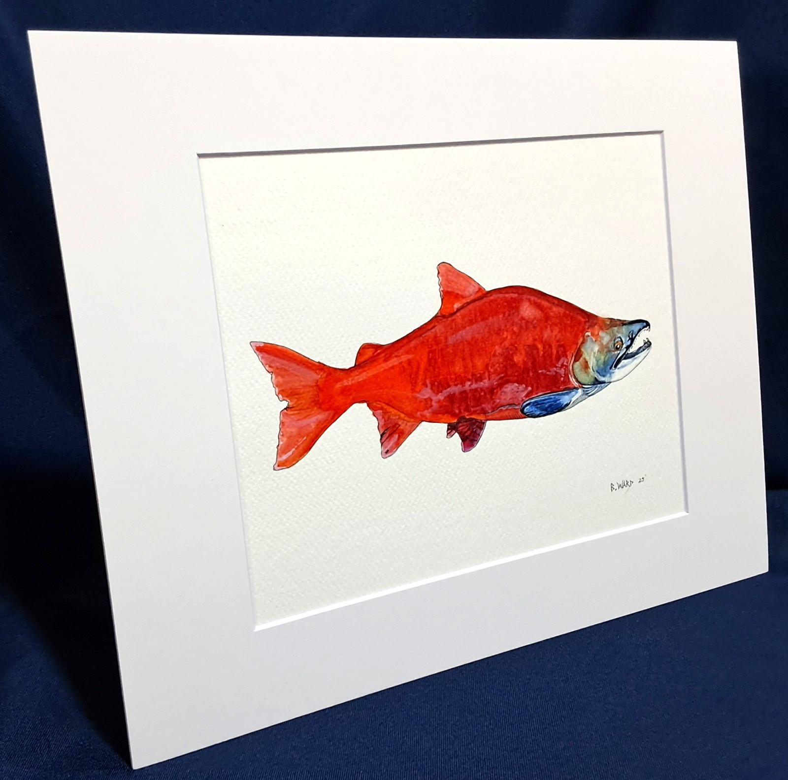 Sockeye Salmon Original watercolor 8″x10″ in 11″x14″ acid free Matt