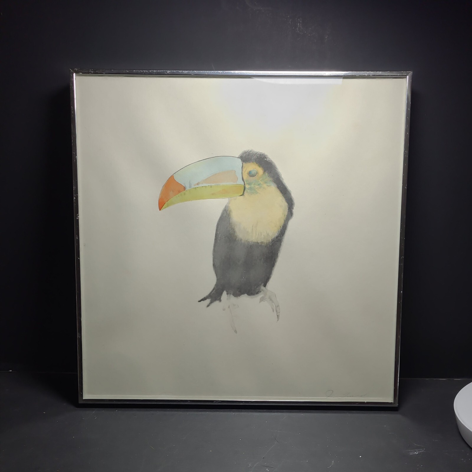 Toucan Watercolor framed signed