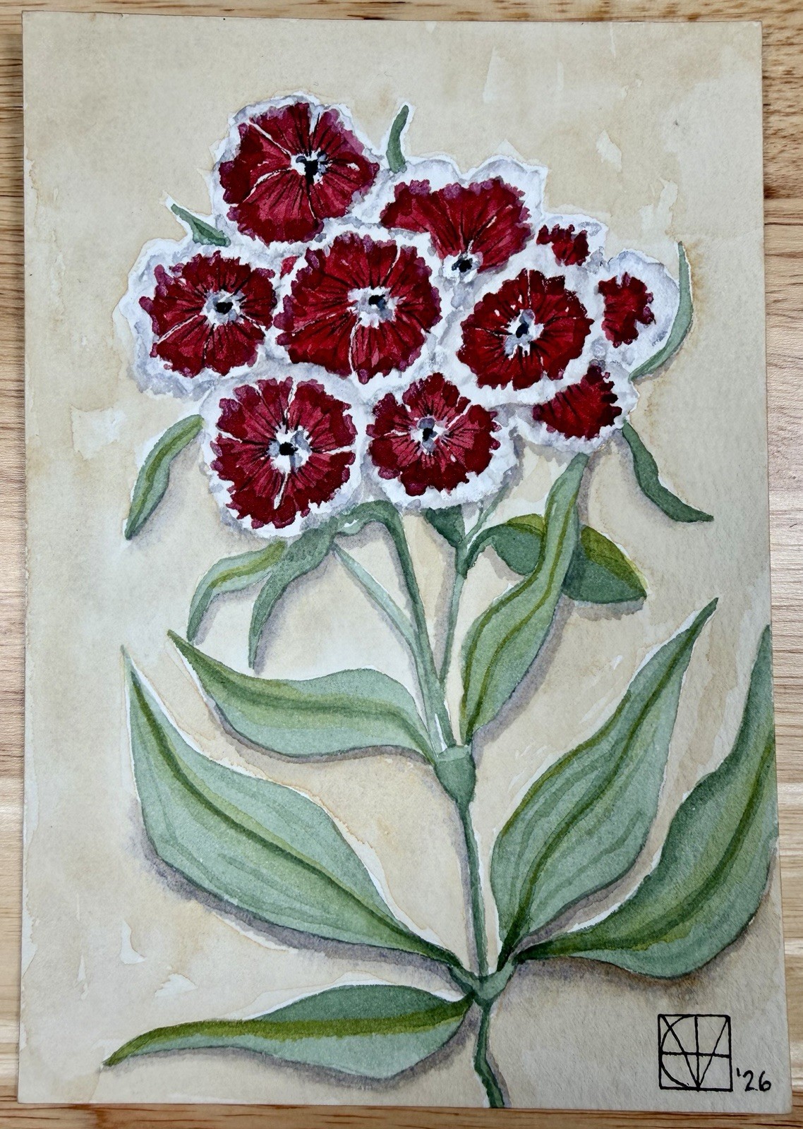 Painting by M. Hackney Sweet William Floral Watercolor & Ink, Signed, 5×7 COA