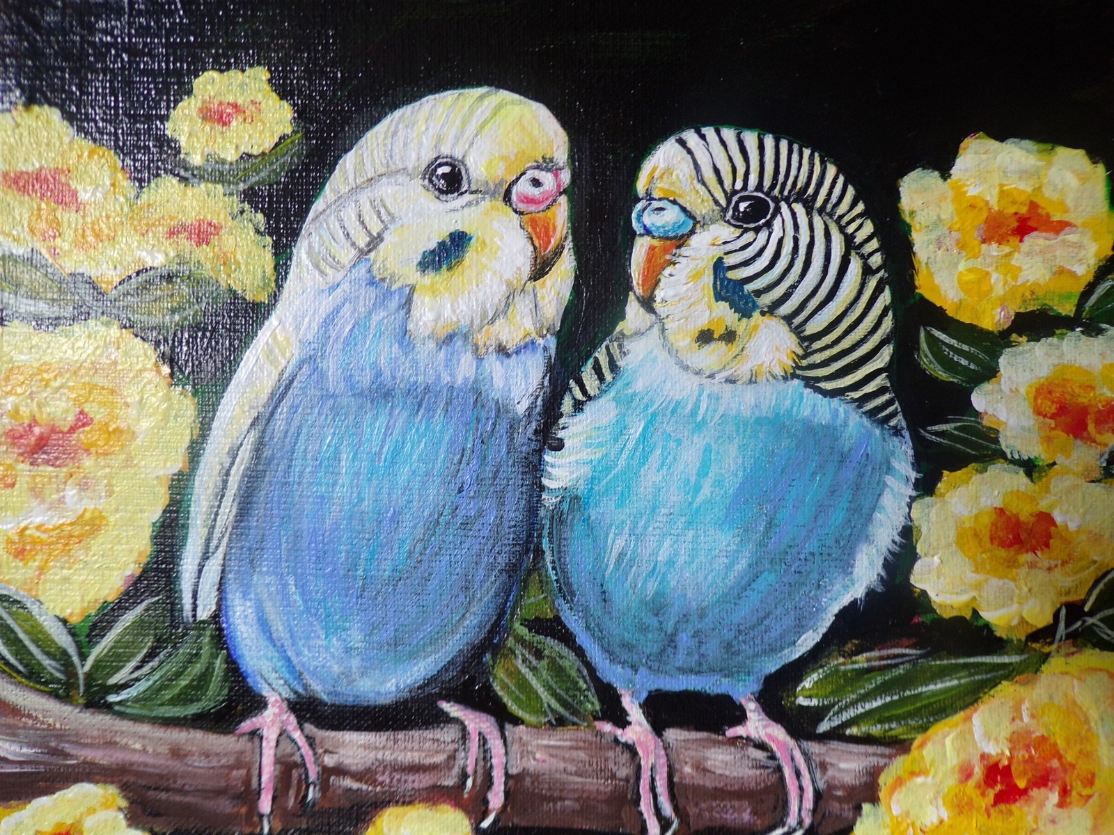Parakeet Original Painting-budgies