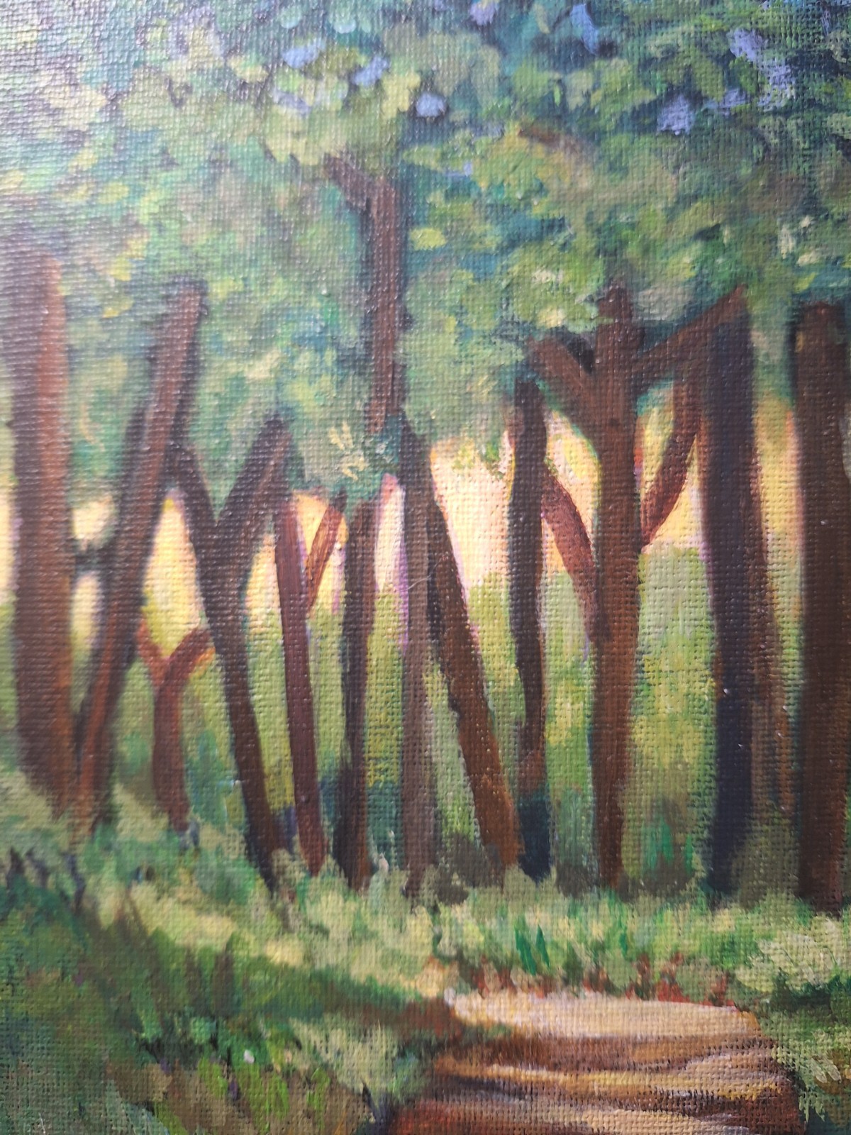 Sun Through The Forest 8×10 Acrylic Canvas Panel Painting