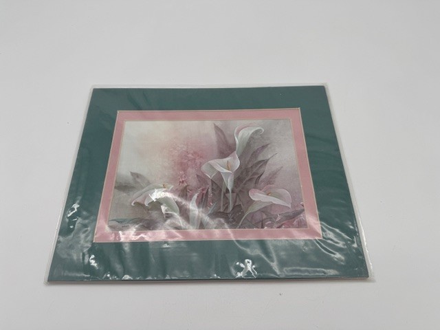1984 Arthur A. Kaplan Co. Giant Calla Lily 1994 12 Printing Lena Liu
