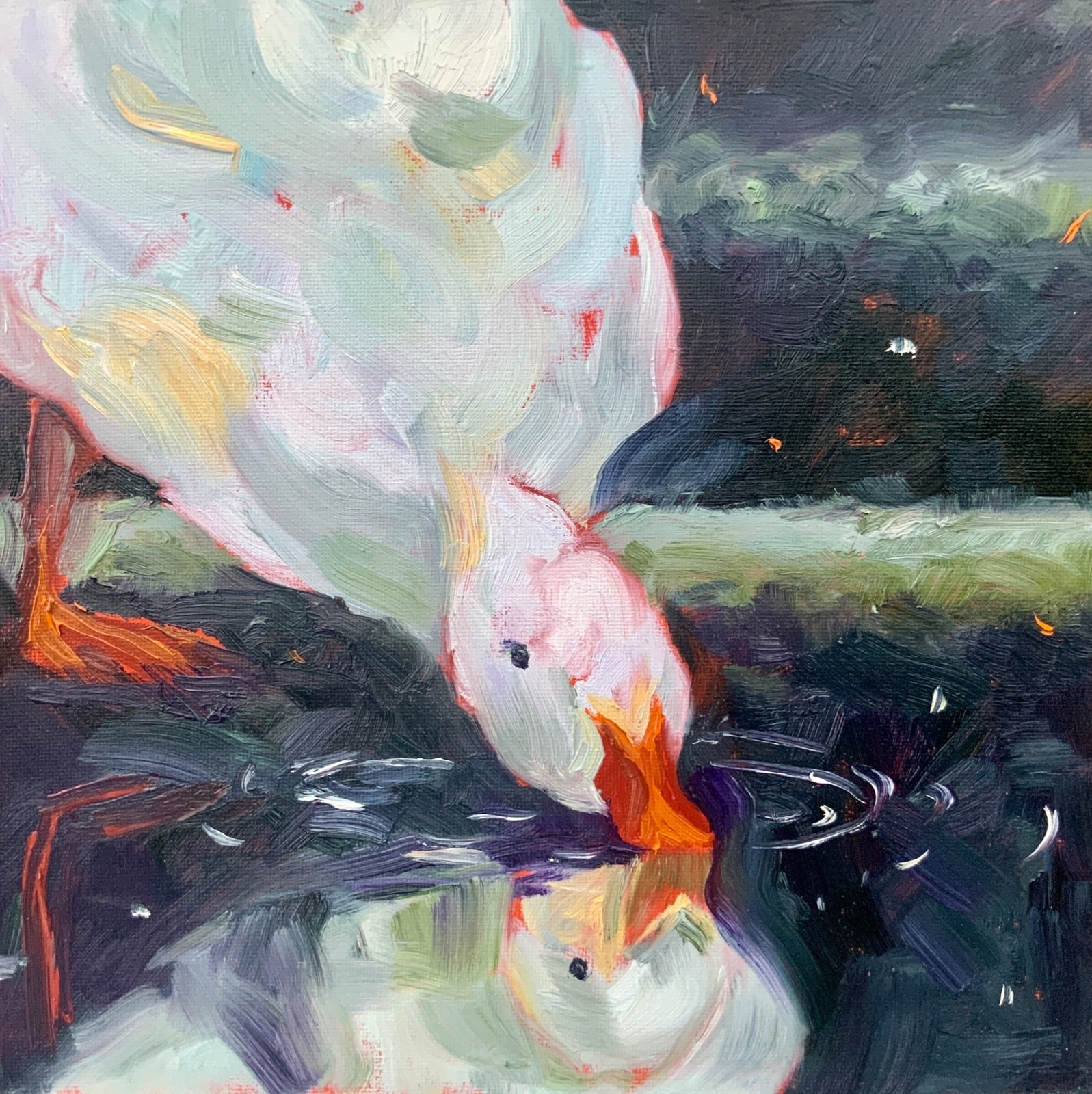 Original Art Duck Painting Bird Portrait Animal Artwork Goose 12×12