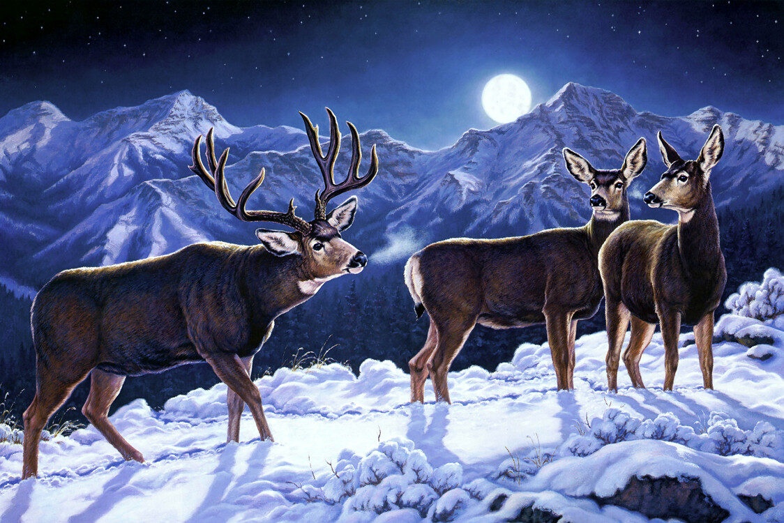 Wall art 3 Elk in the snow Oil painting Giclee Art HD Printed on canvas L3223