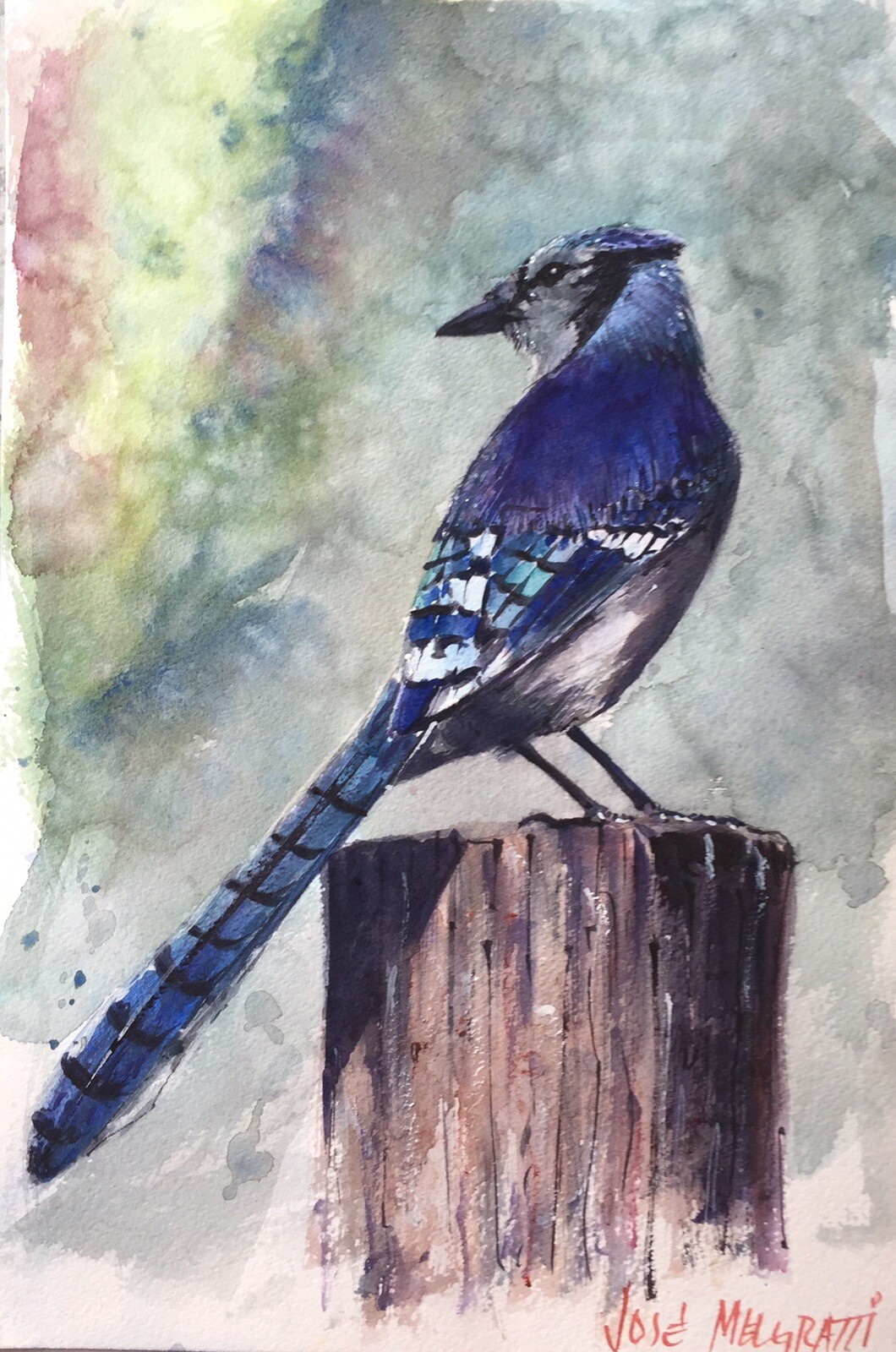 Watercolor ORIGINAL Painting Blue Bird 8″ X 11.1/2″ NOT A PRINT