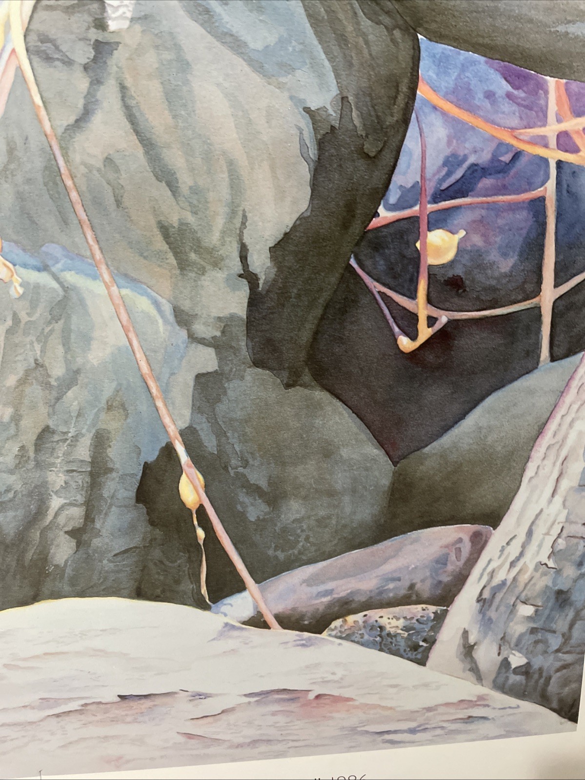 Cabrillo «After The Storm»1986 California Signed Linda Gunn 28.5″X20»