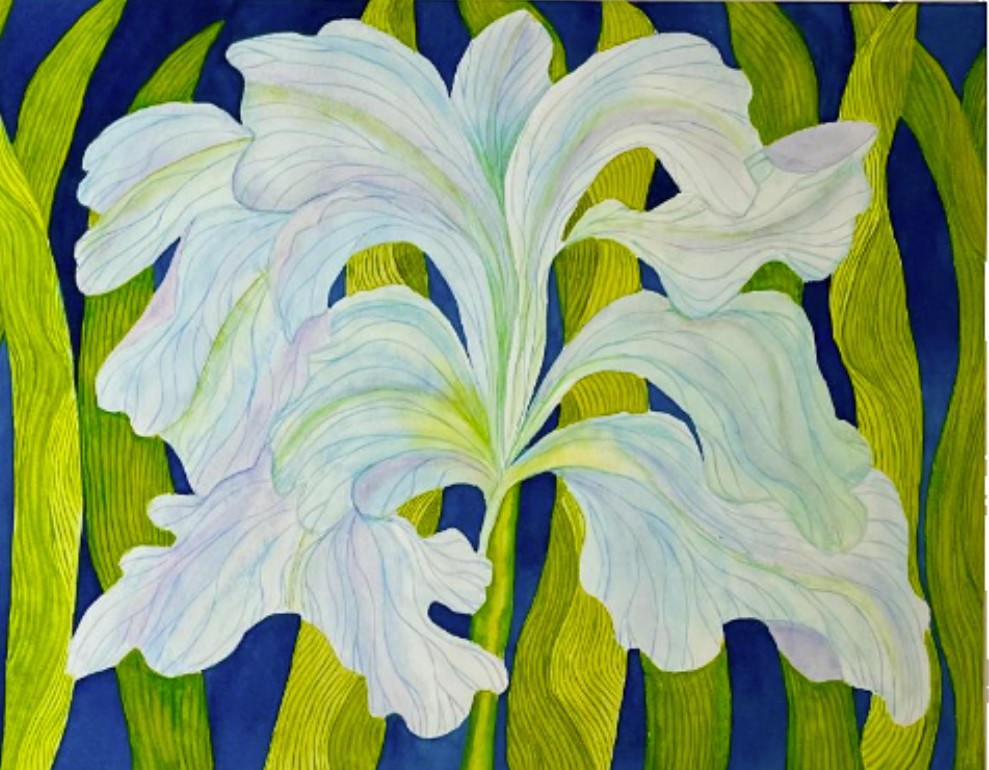 PAINTING WATERCOLOR 11X14 AND MAT 16X20 FLOWER IRIS BLUE LAVENDER ORIGINAL ART