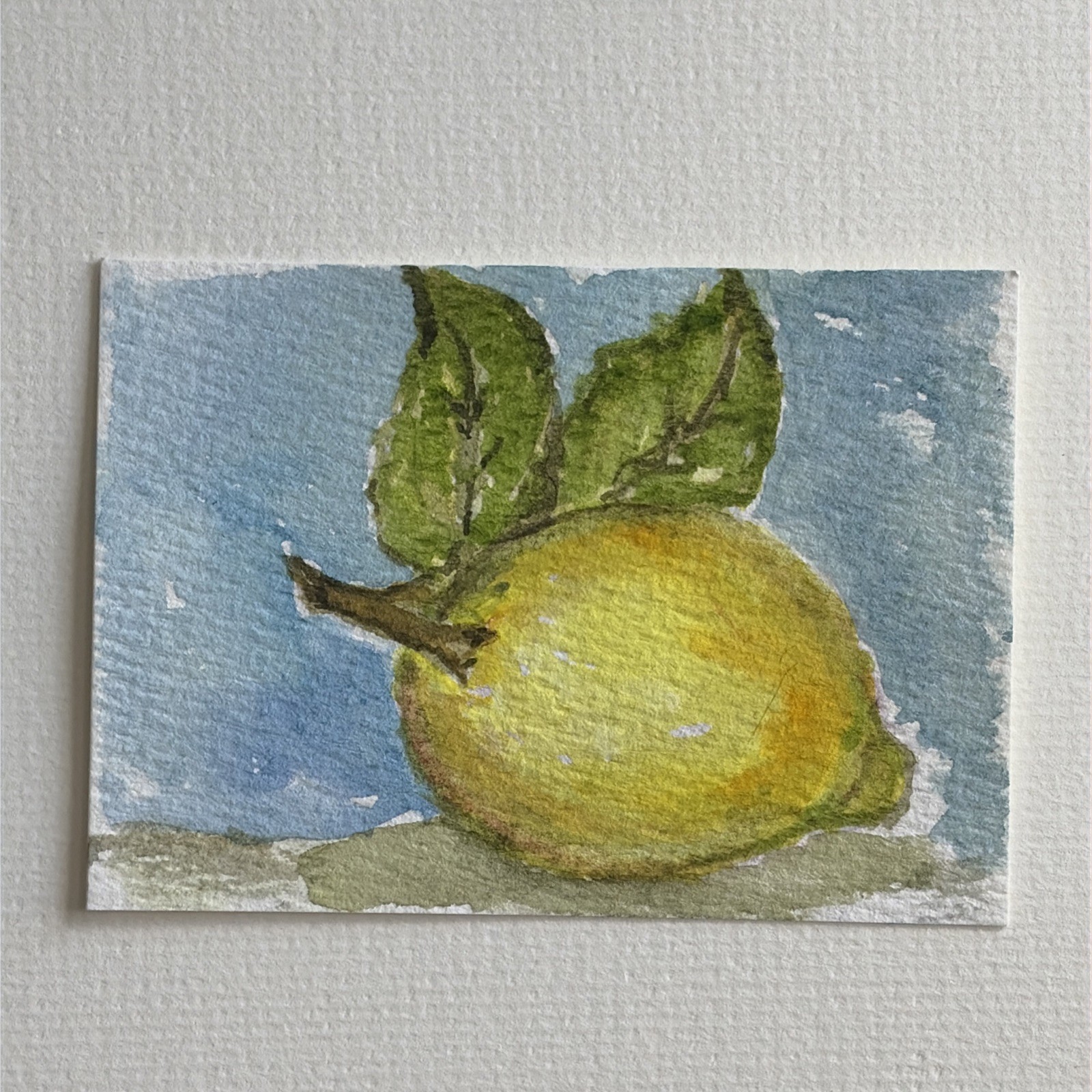 ACEO original Watercolor Still Life Fruit Painting By JMJager