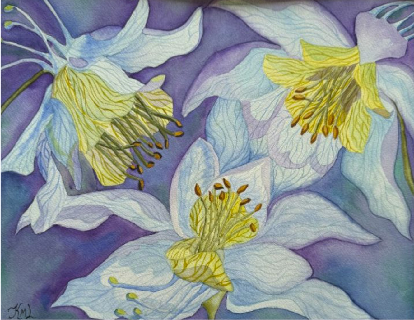 PAINTING WATERCOLOR ART COLUMBINE FLOWERS BLUE PURPLE 11X14 & DOUBLE MAT 16X20