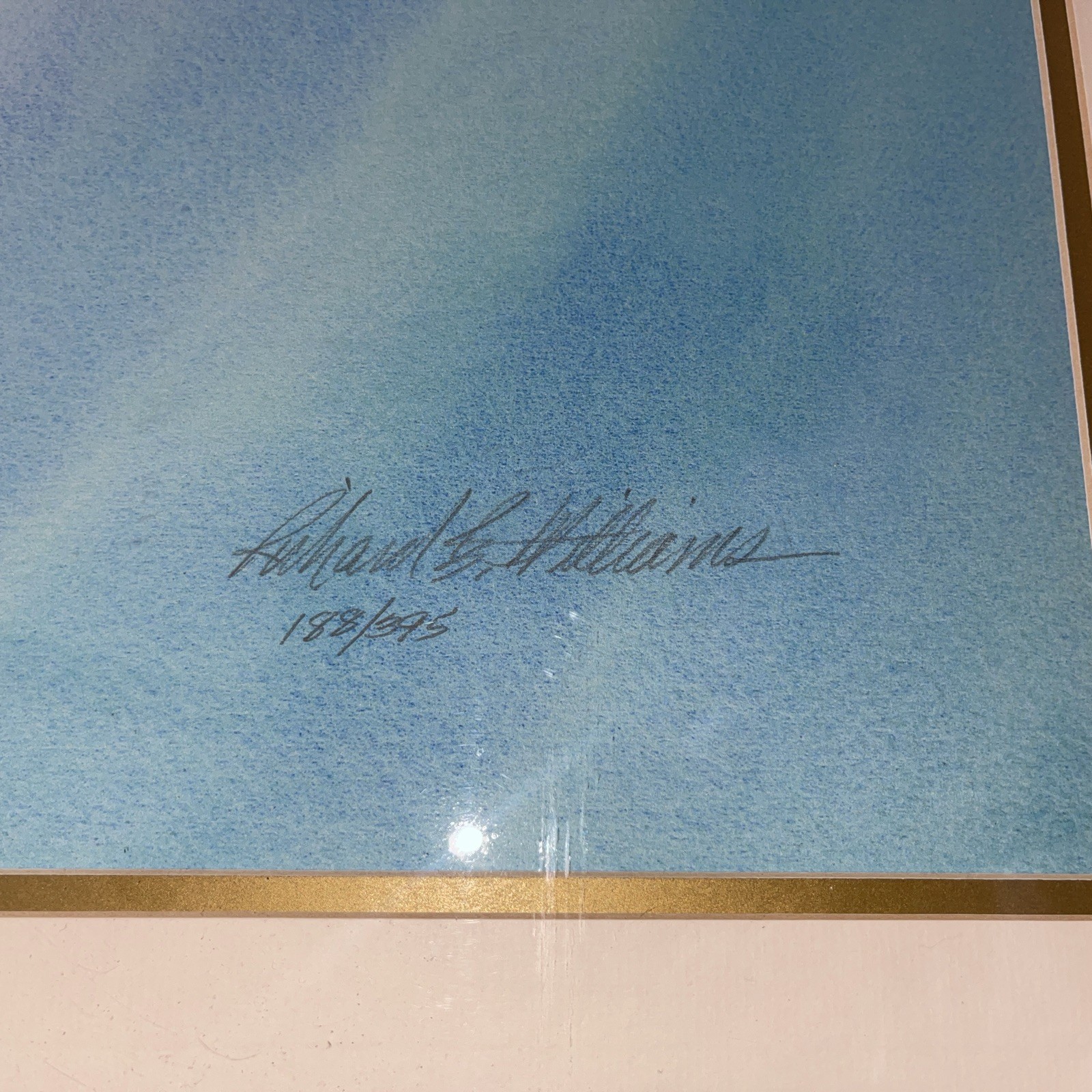 Richard E Williams Signed Lithograph Manatee Calf Frame Art Print Ltd Ed 188/395