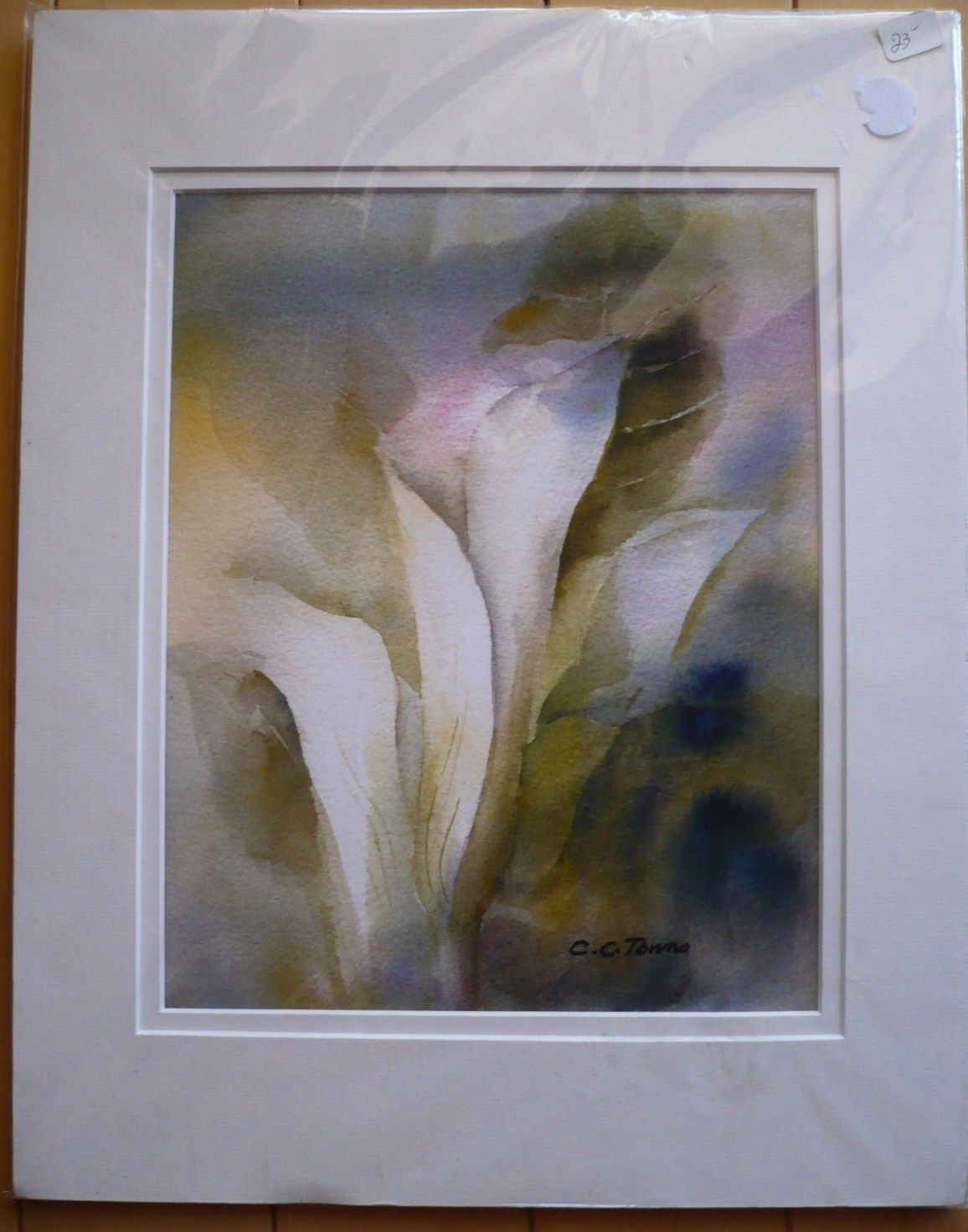 CONNIE TOWNS, COLORISM COLORIST WATERCOLOR FLOWER FLORAL CALIFORNIA CALIF CA ART
