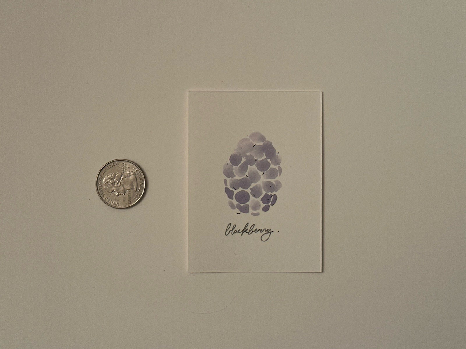 blackberry ACEO