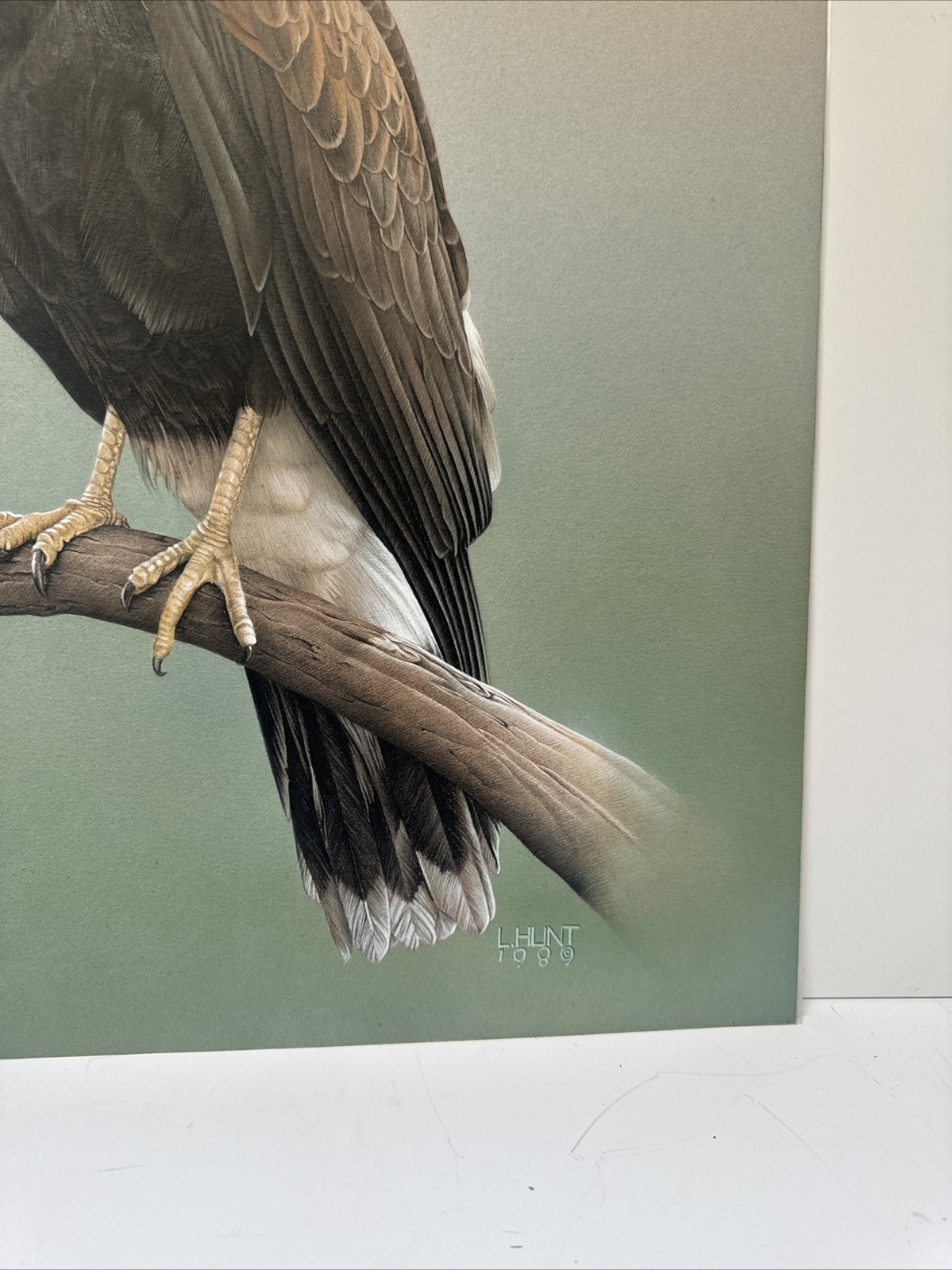 REALIST PAINTING EAGLE BIRD REALISM LARRY HUNT EXHIBITED NATURE WESTERN ARTIST