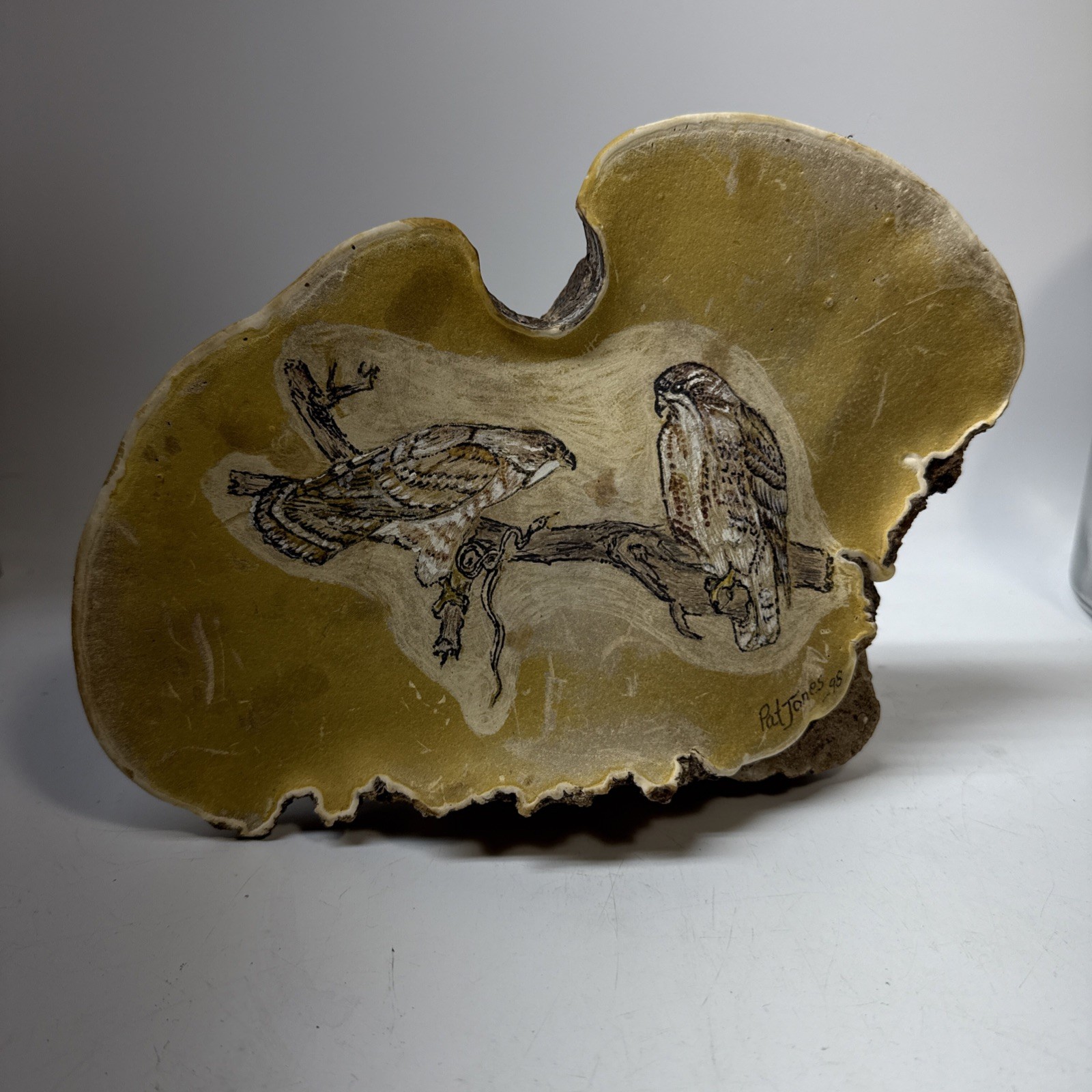 VTG Folk Art Nature Drawing of A Bird on Tree Conk Fungus Shelf Mushroom Signed