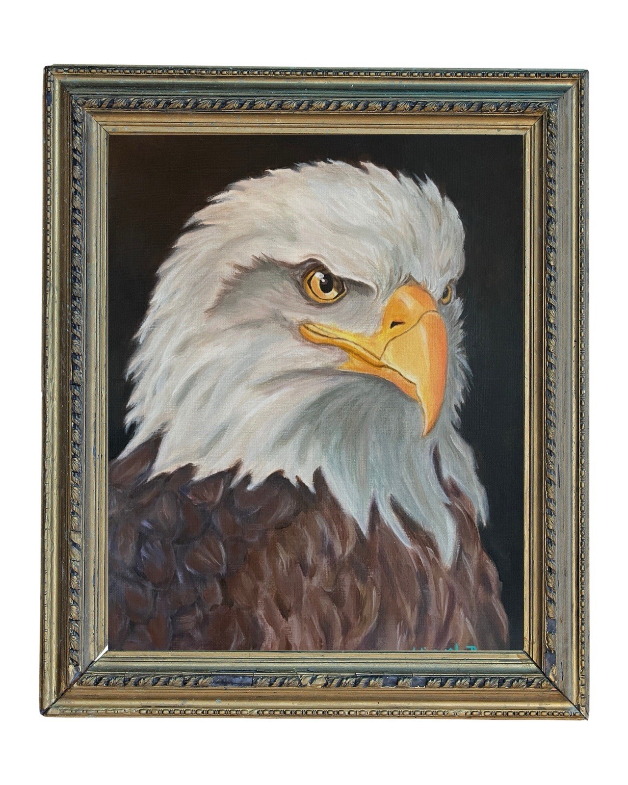 Bald Eagle Acrylic Painting Bird Portrait Original Art 9 x 12 inches