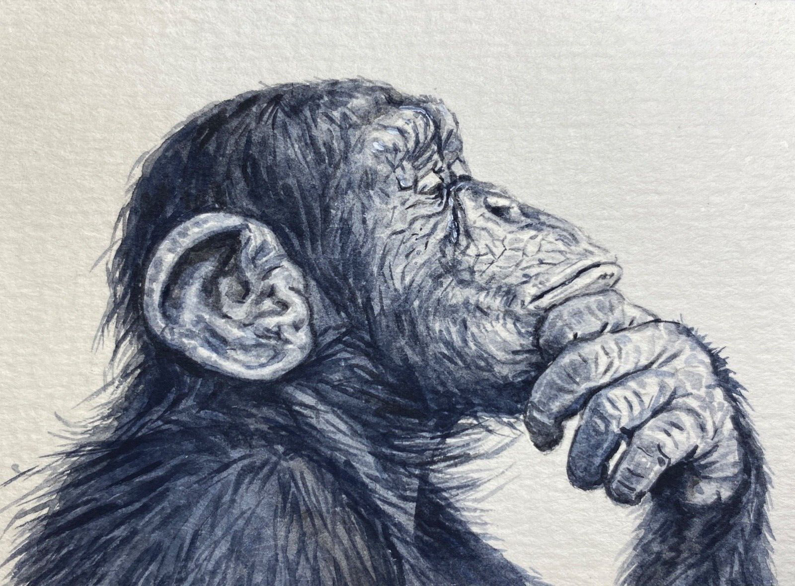 Watercolor Painting Monkey Chimpanzee Art No.164